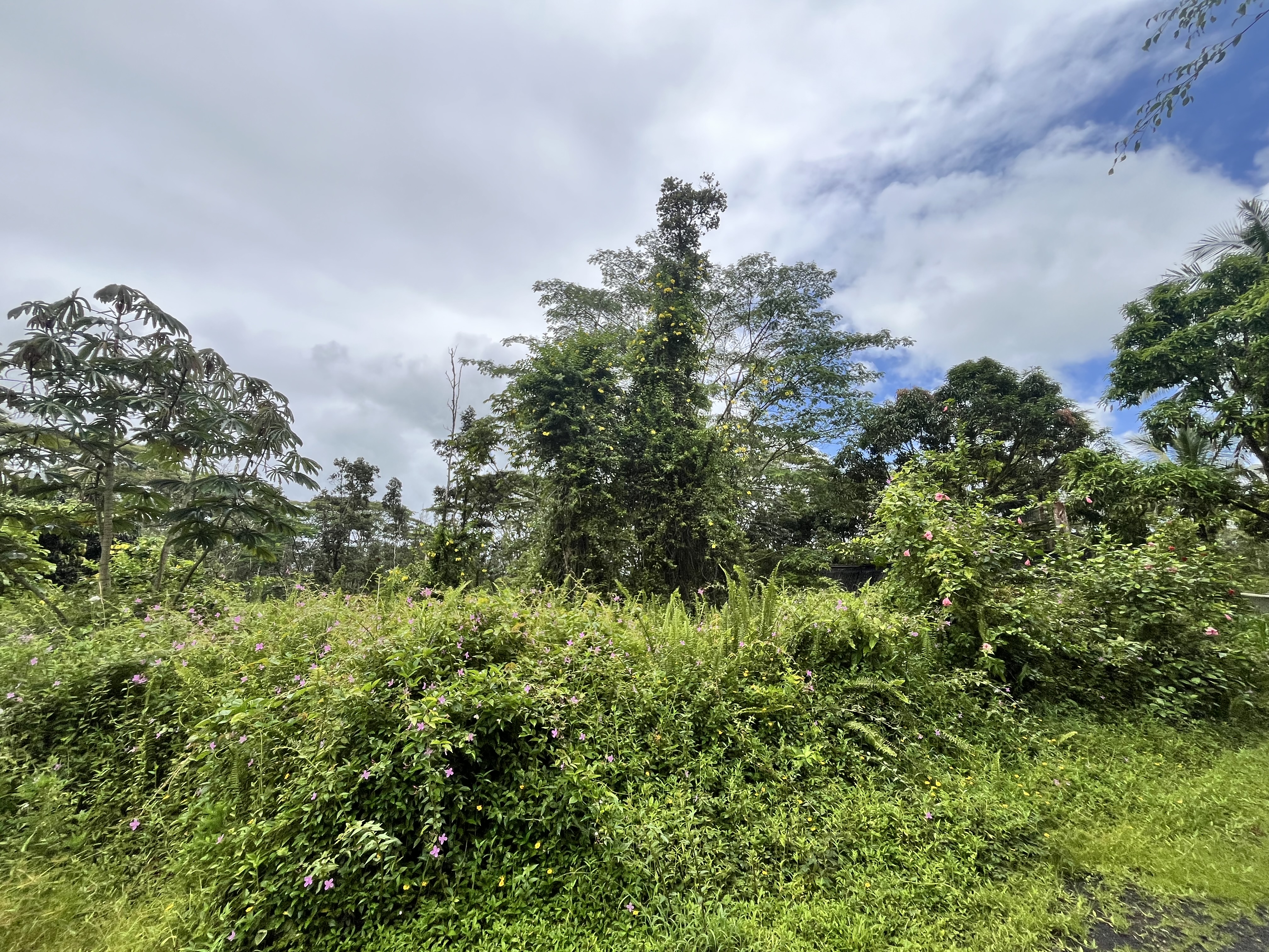 Lehua Rd Property Photo 1