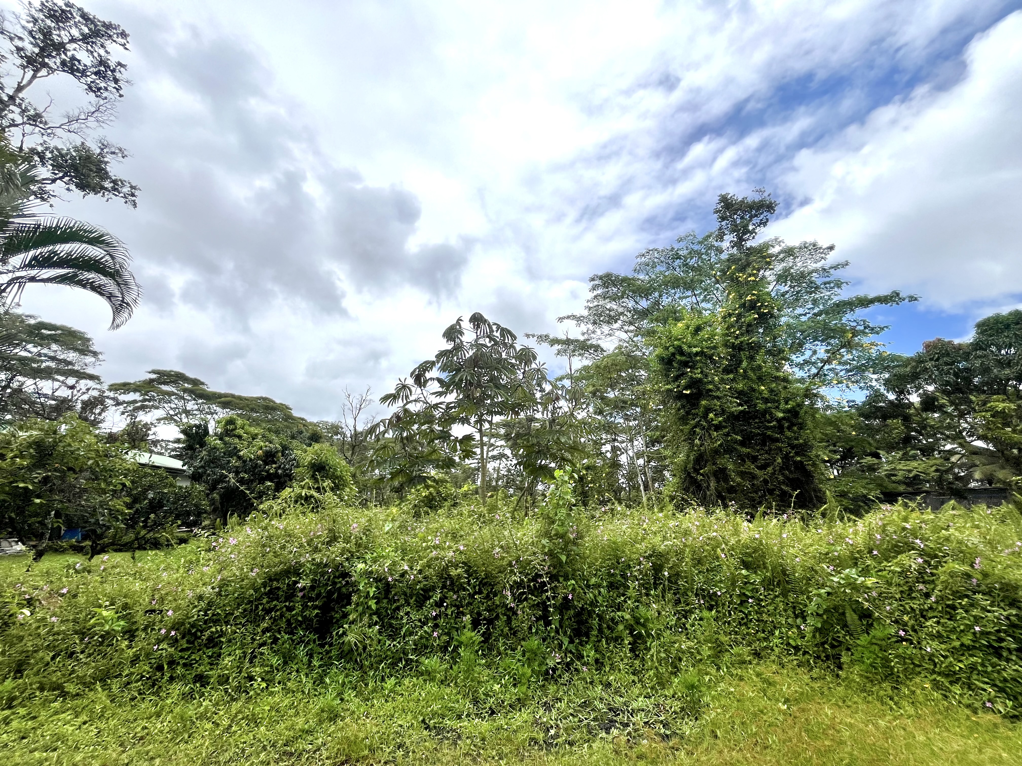 Lehua Rd Property Photo 5