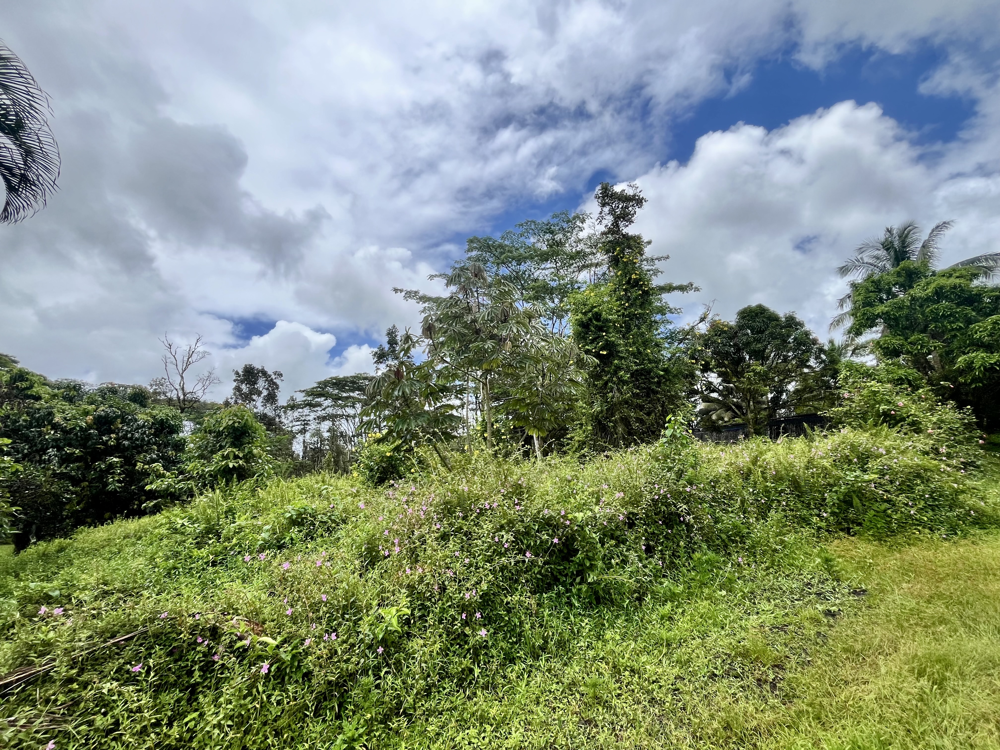 Lehua Rd Property Photo 6