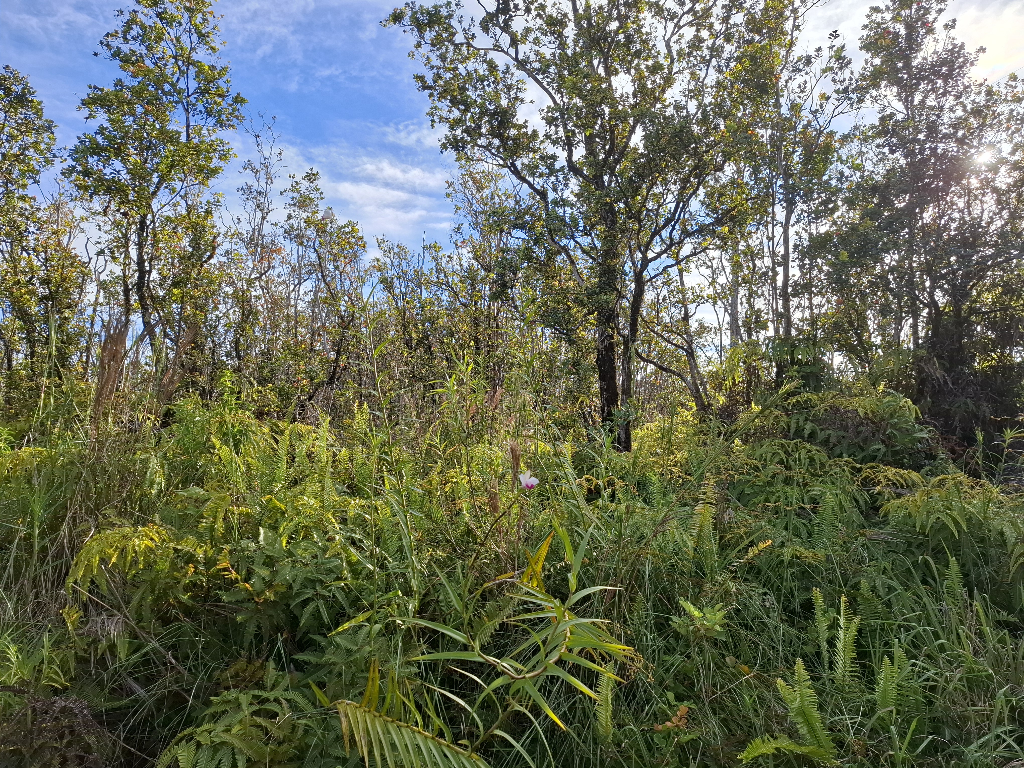 Noe Kuahiwi Rd Property Photo 1