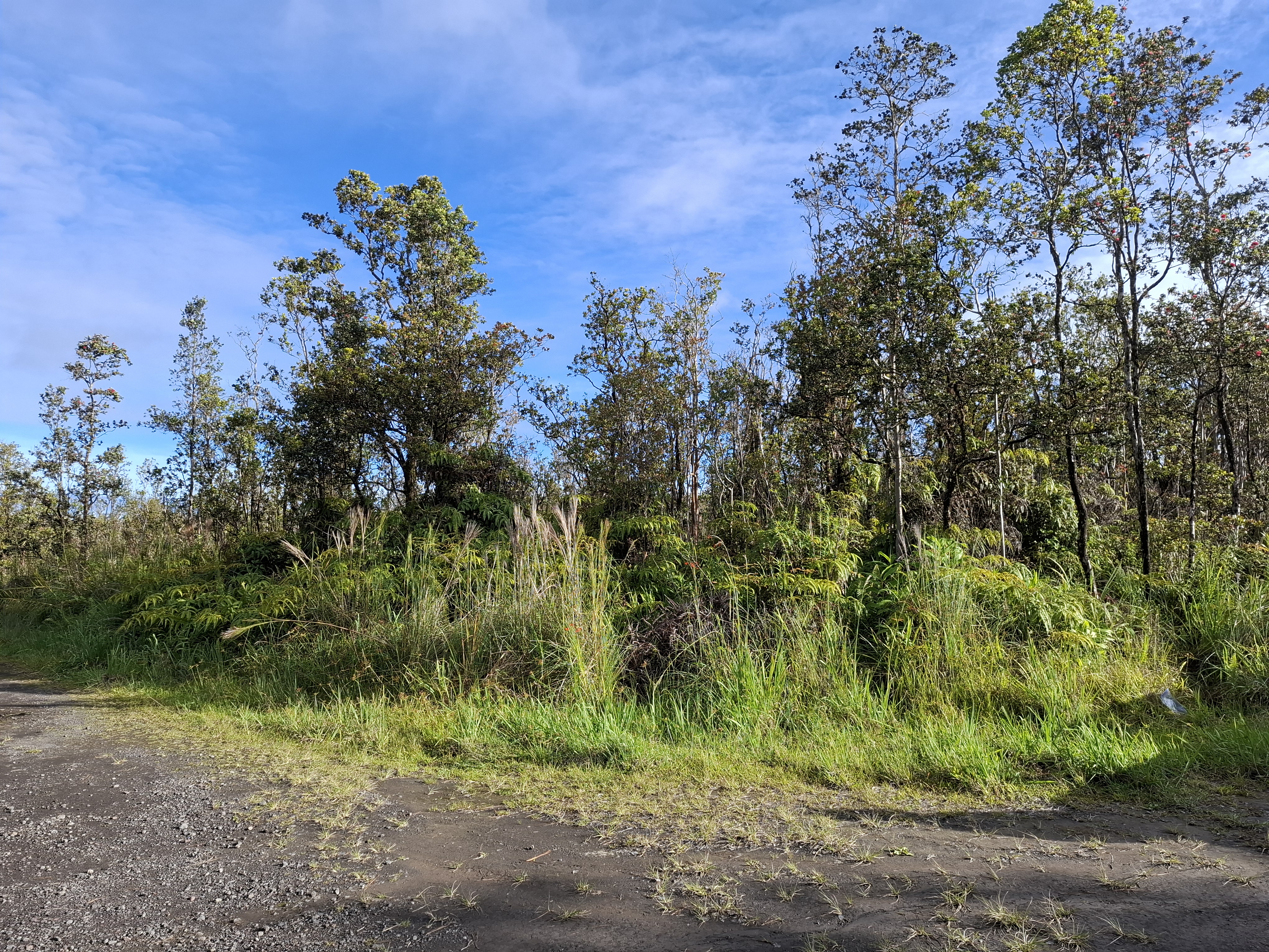 Noe Kuahiwi Rd Property Photo 5