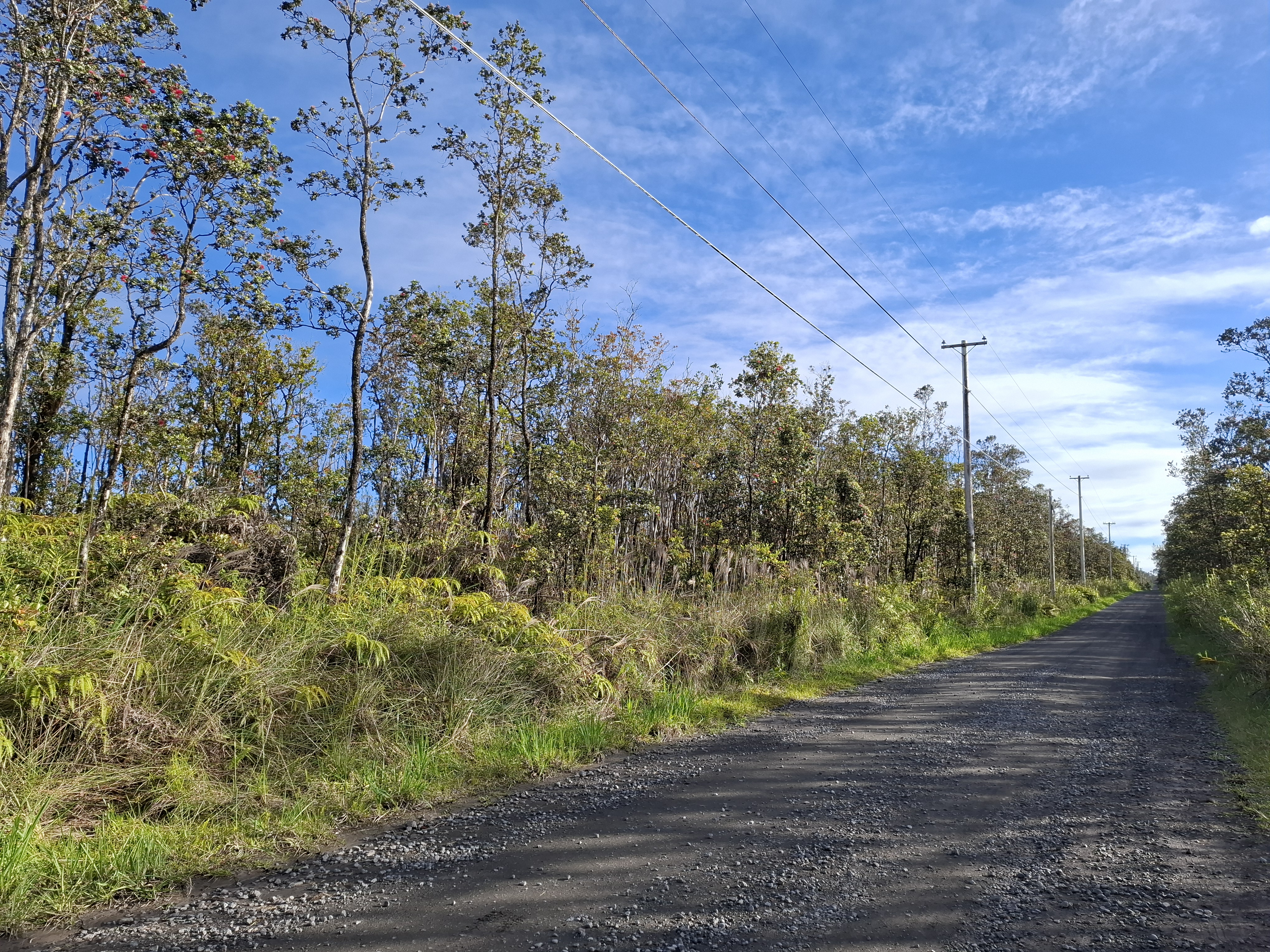 Noe Kuahiwi Rd Property Photo 6