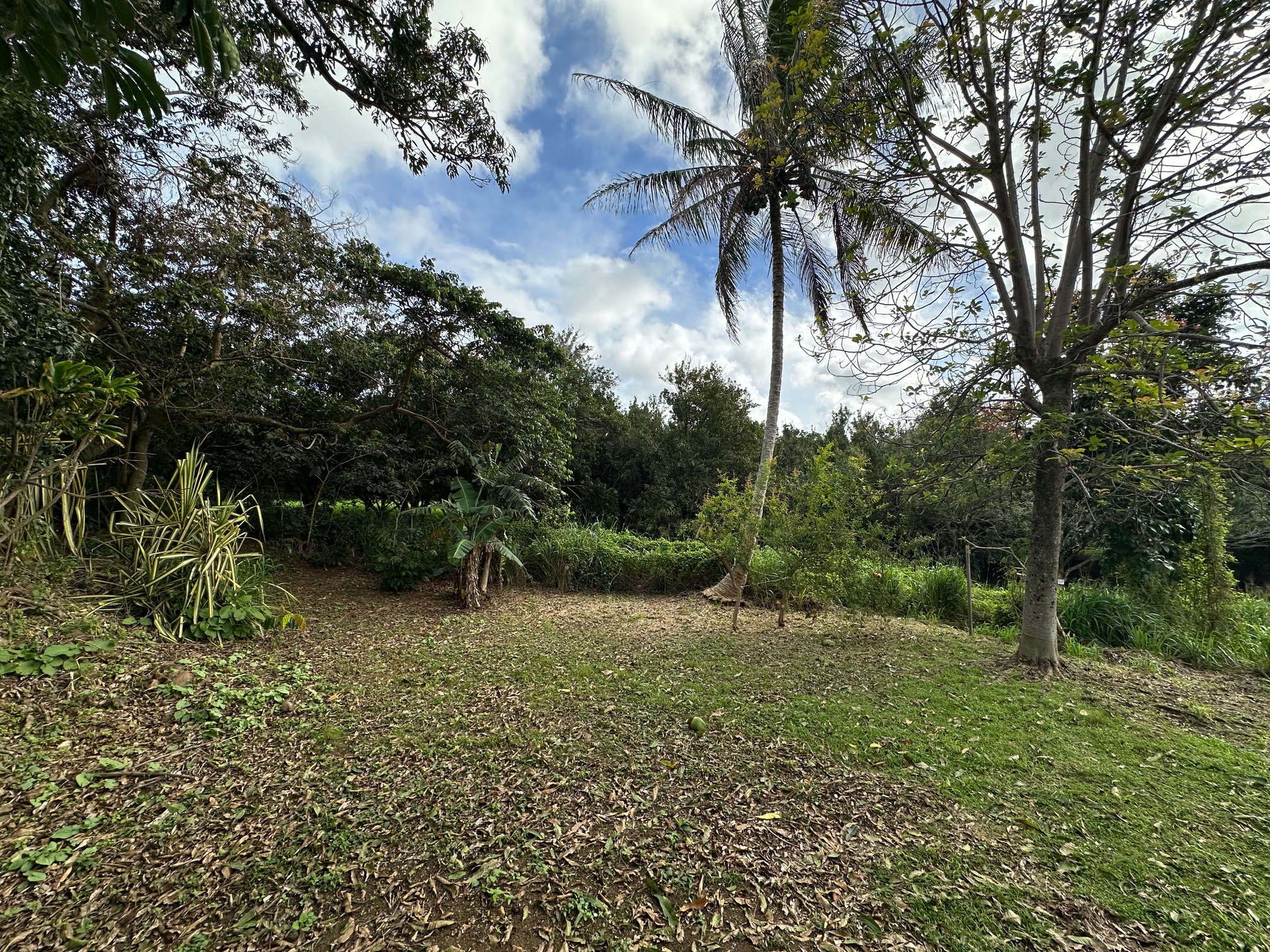 53-4214-a Akoni Pule Highway 153b Property Photo 8