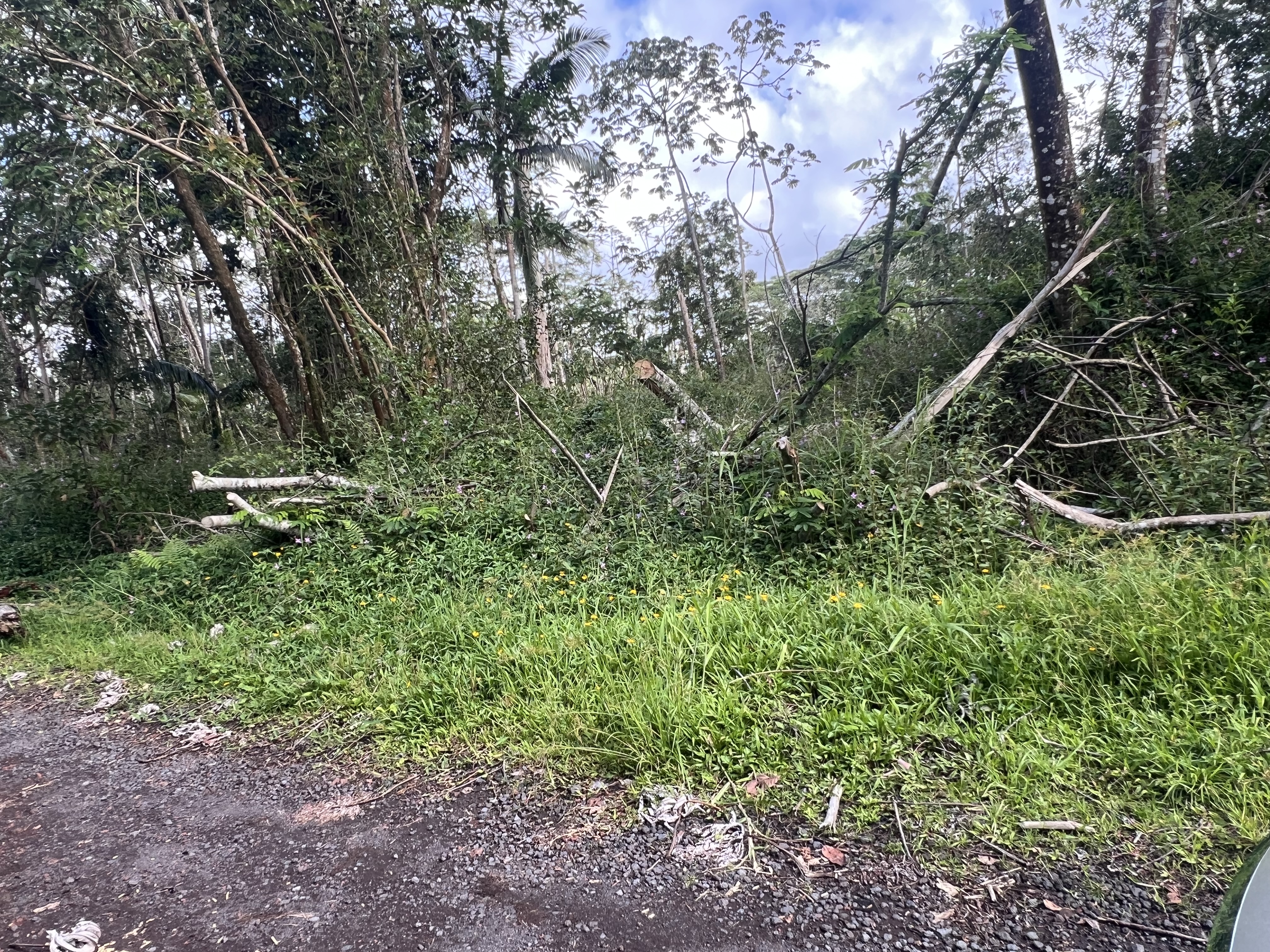 Molokai Rd Property Photo 1