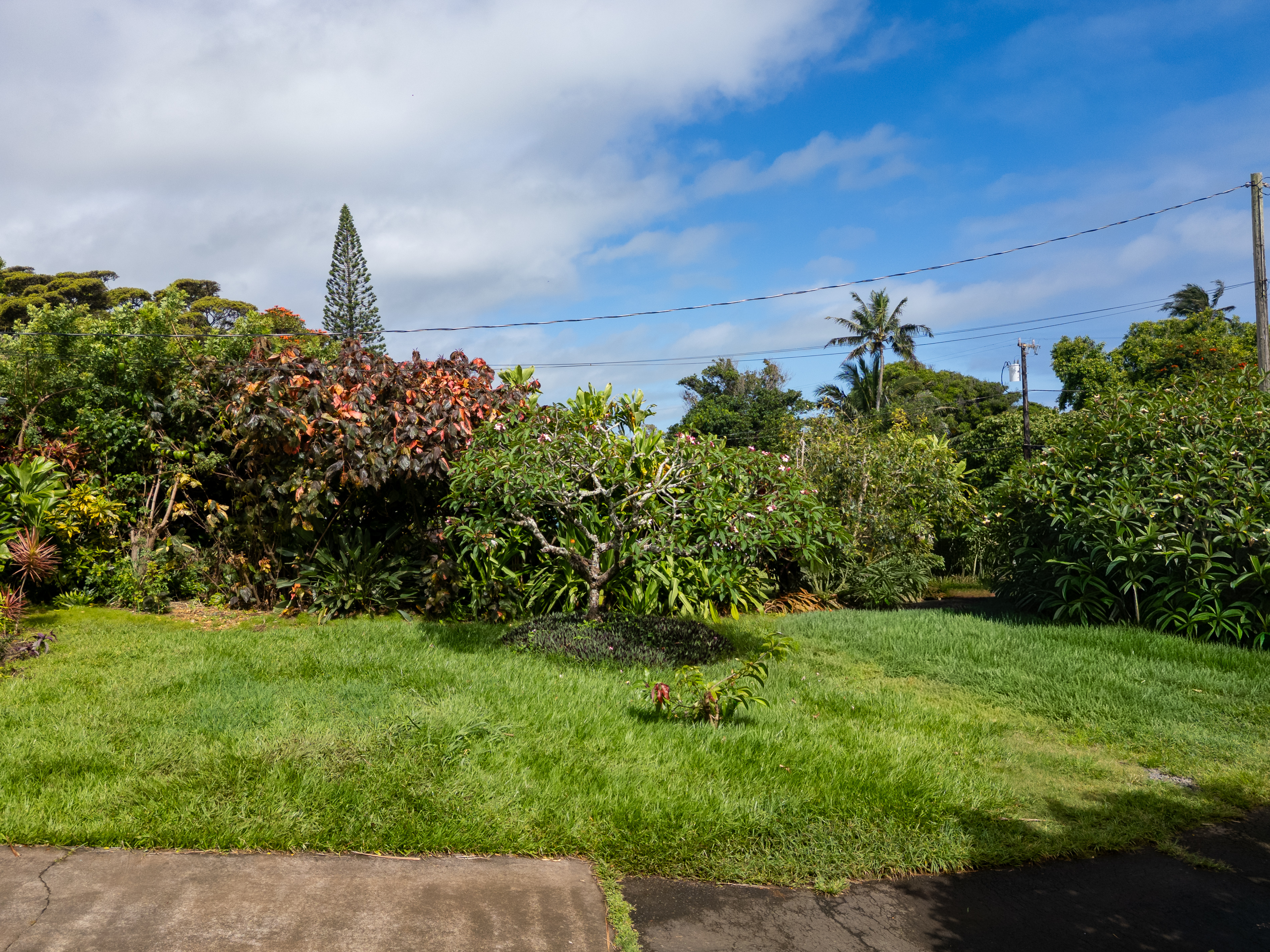 52-277 Keokea Park Rd Property Photo 19