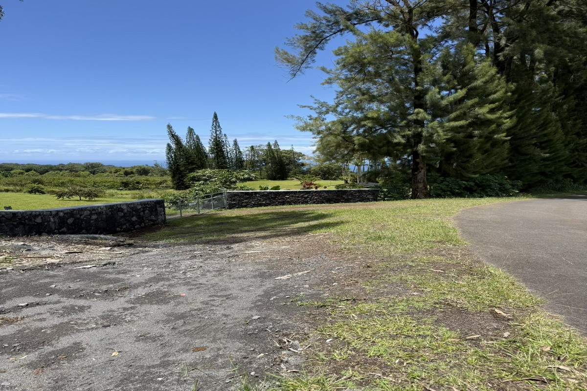 29-2660 Kaiwiki Homestead Rd Property Photo 5