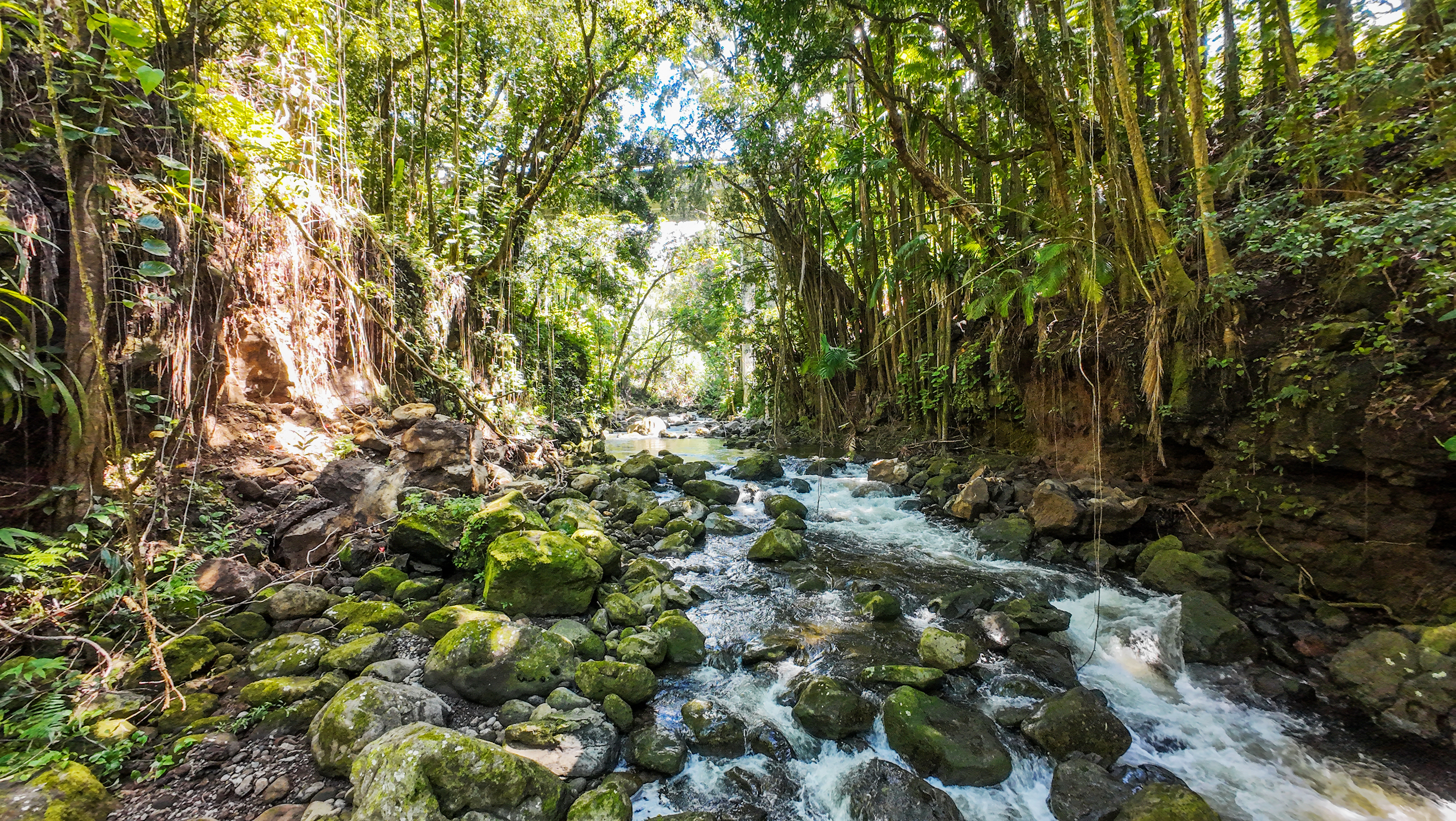 35-2019 Old Mamalahoa Highway Property Photo 21