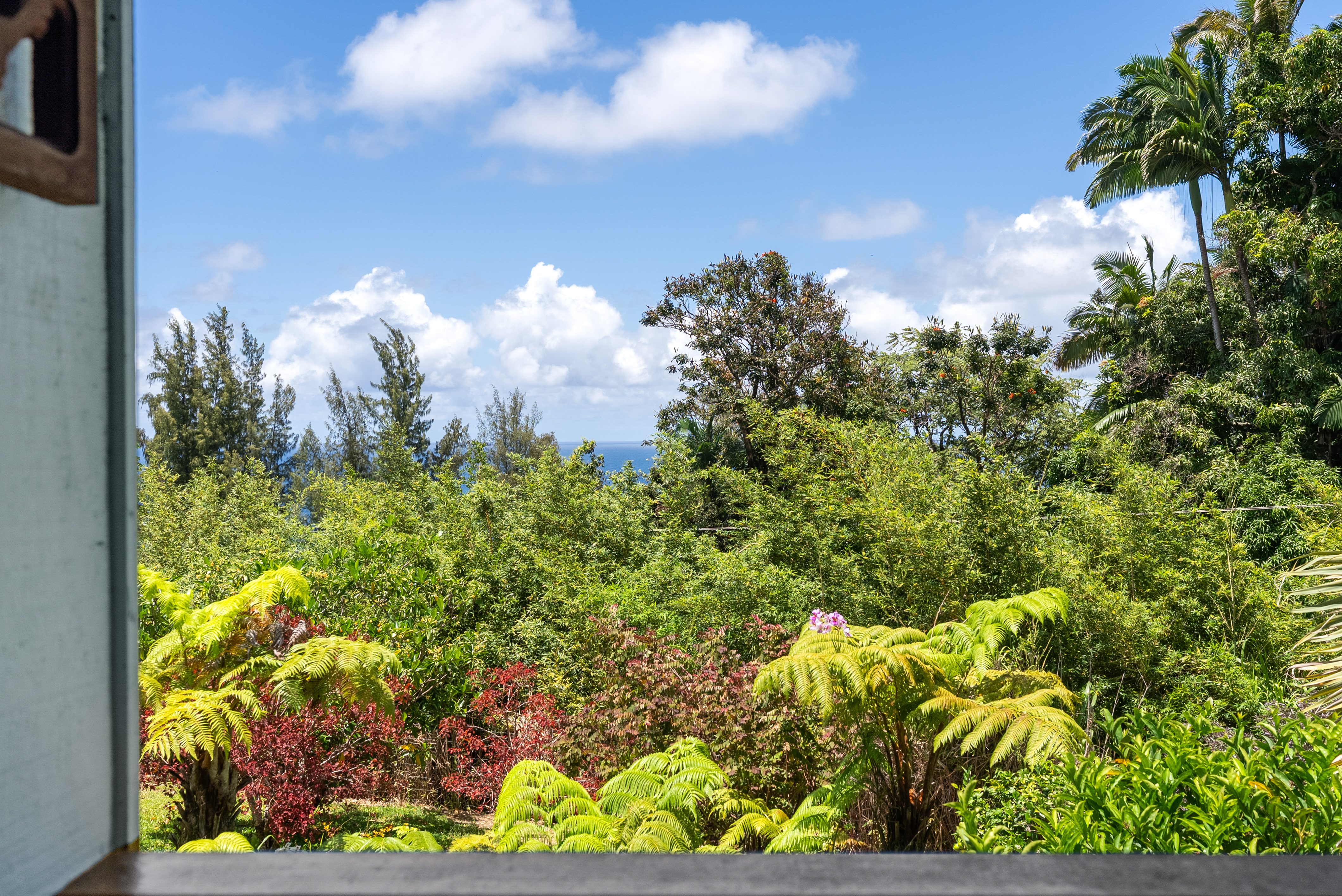 35-2019 Old Mamalahoa Highway Property Photo 22