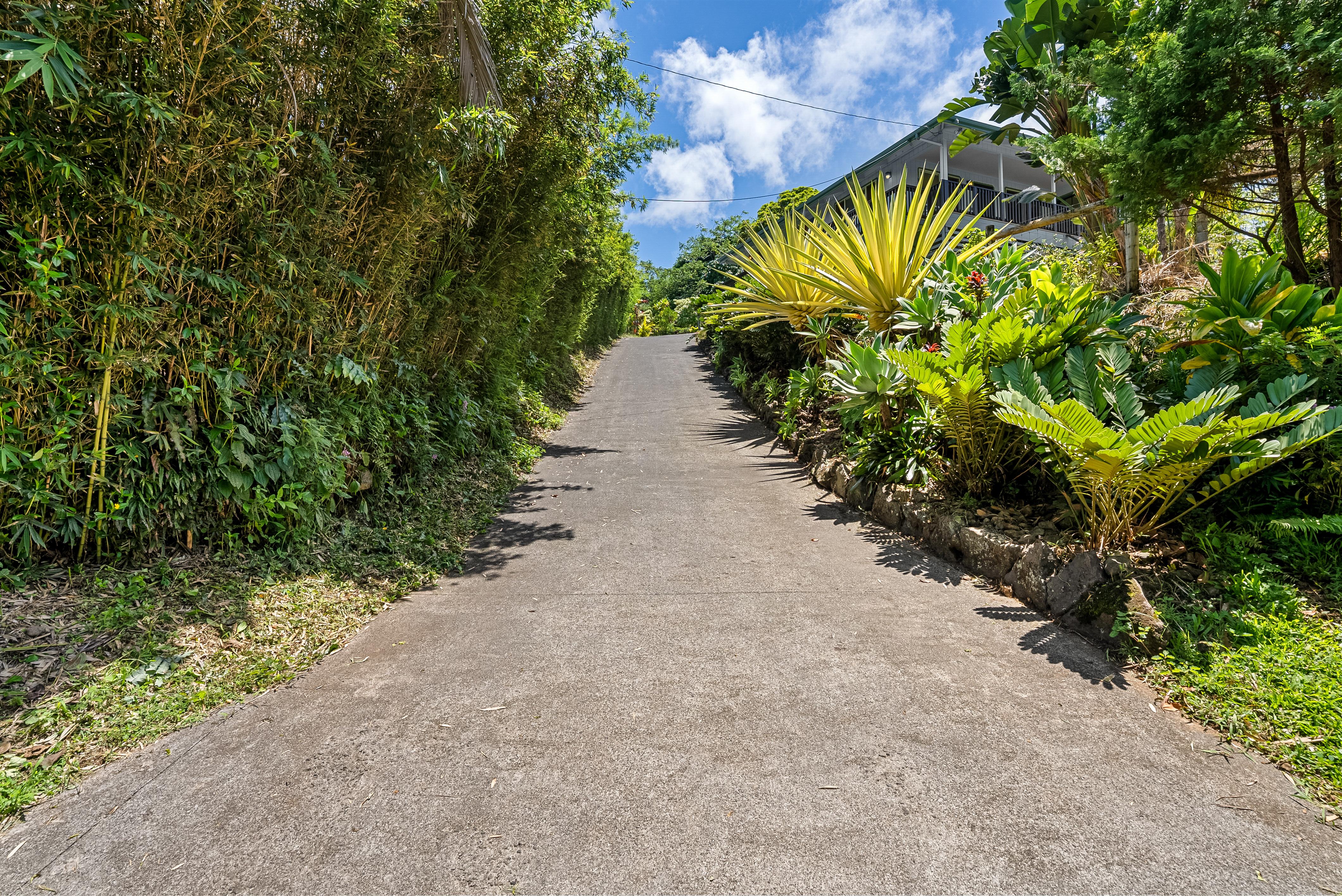 35-2019 Old Mamalahoa Highway Property Photo 23