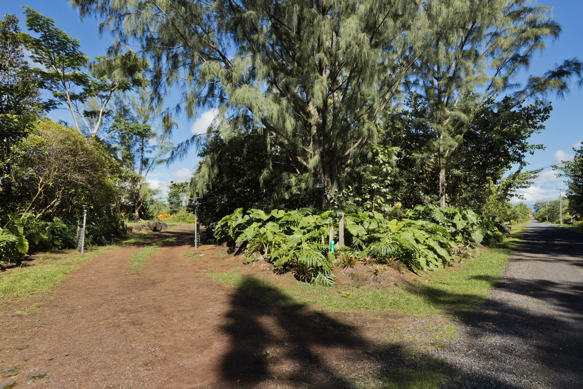 15-1906 3rd Ave Property Photo 30