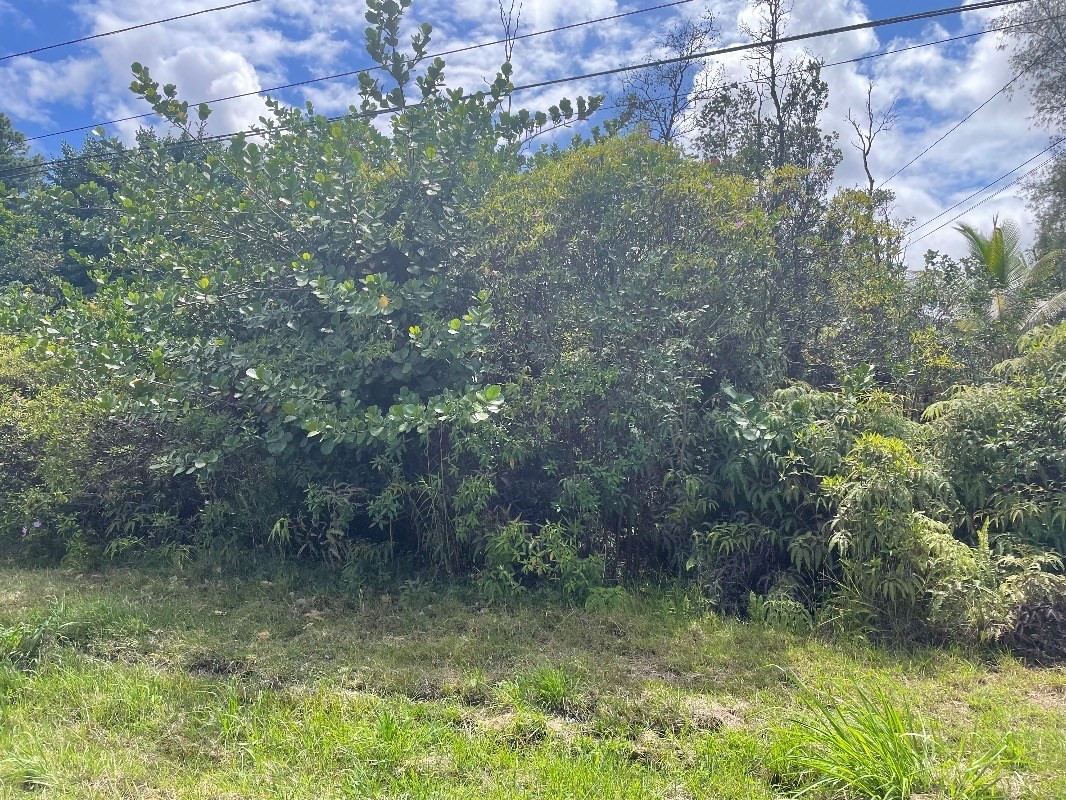 Pahoa Rd Property Photo 6