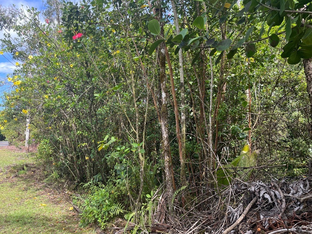 Pahoa Rd Property Photo 8