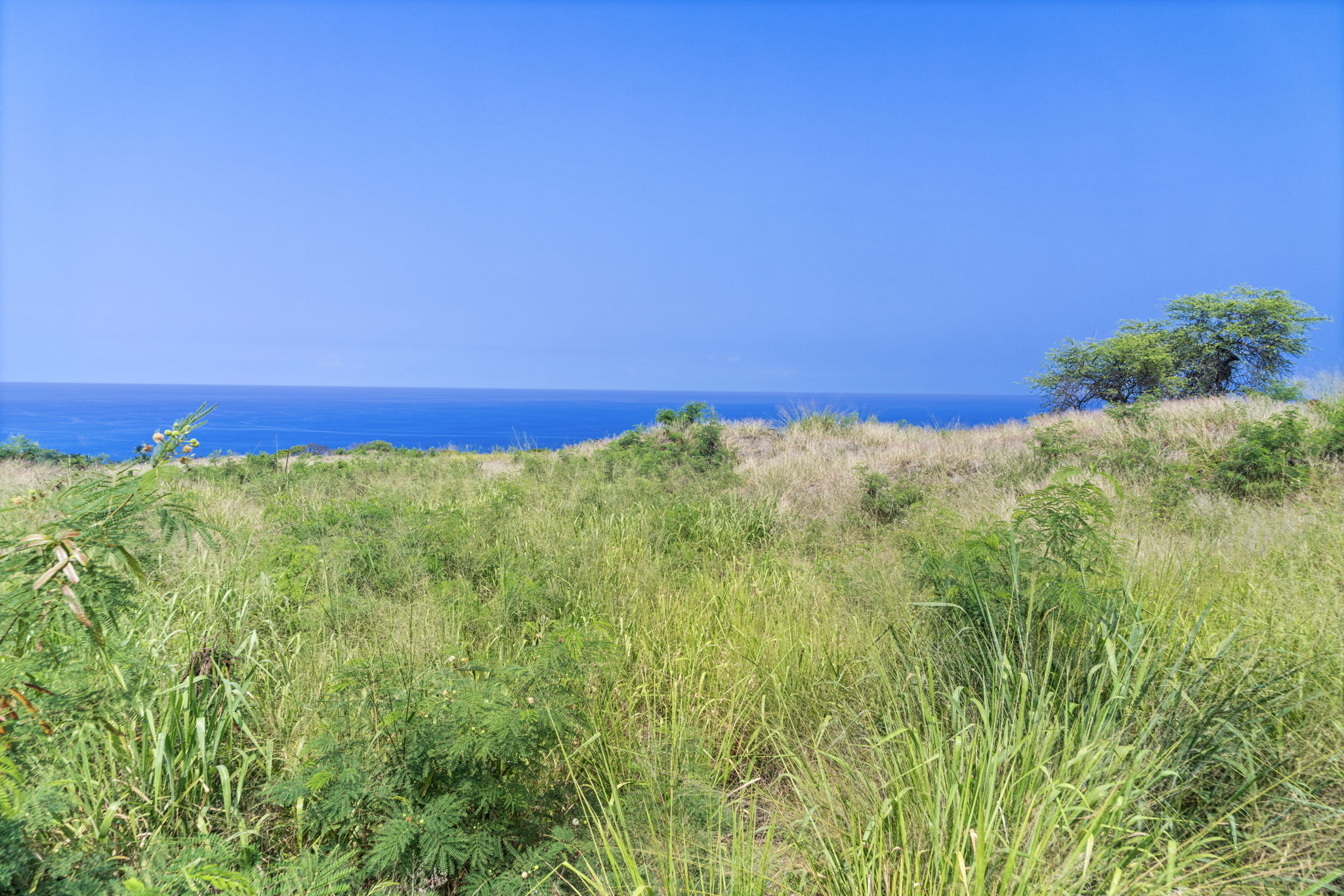 81-6650 O Uala Pl Property Photo 12