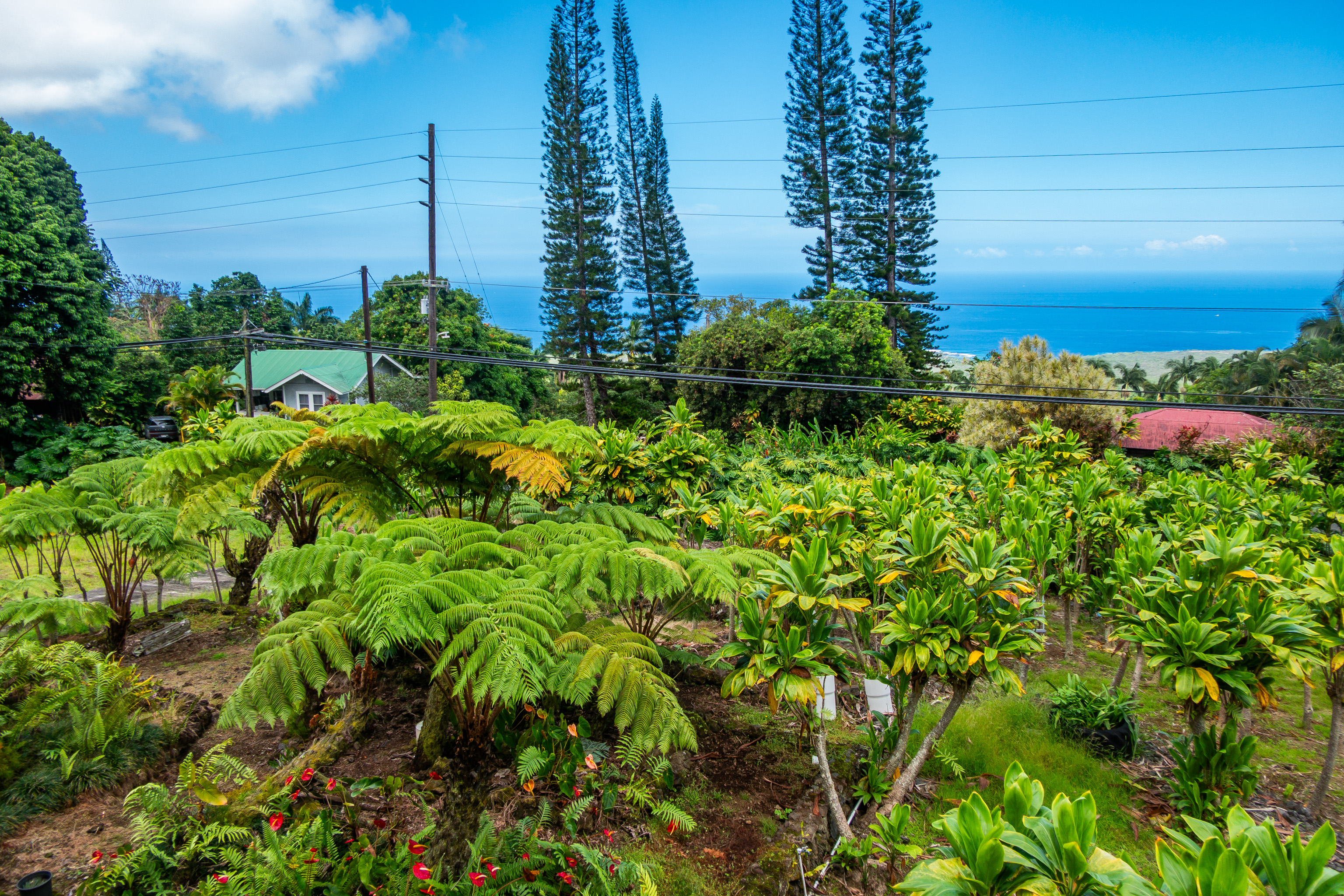 84-5084 Hawaii Belt Rd Property Photo 21