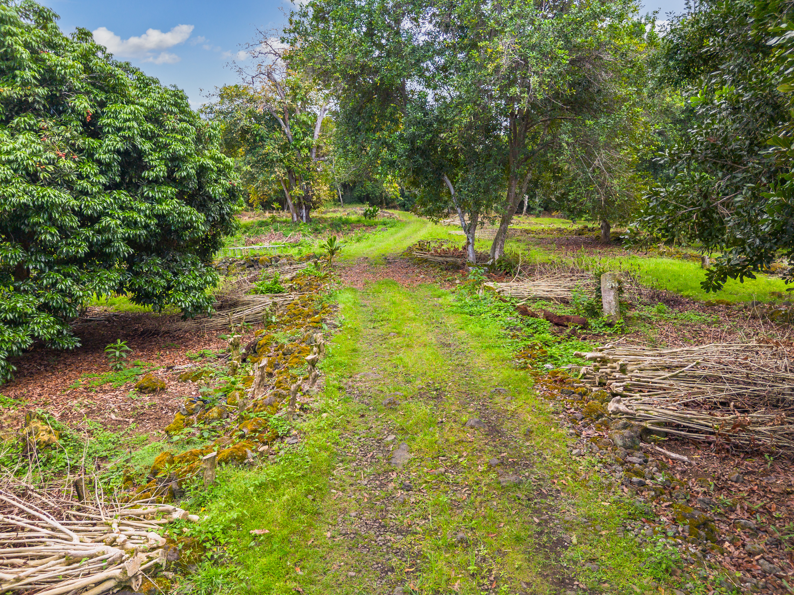 84-5084 Hawaii Belt Rd Property Photo 24