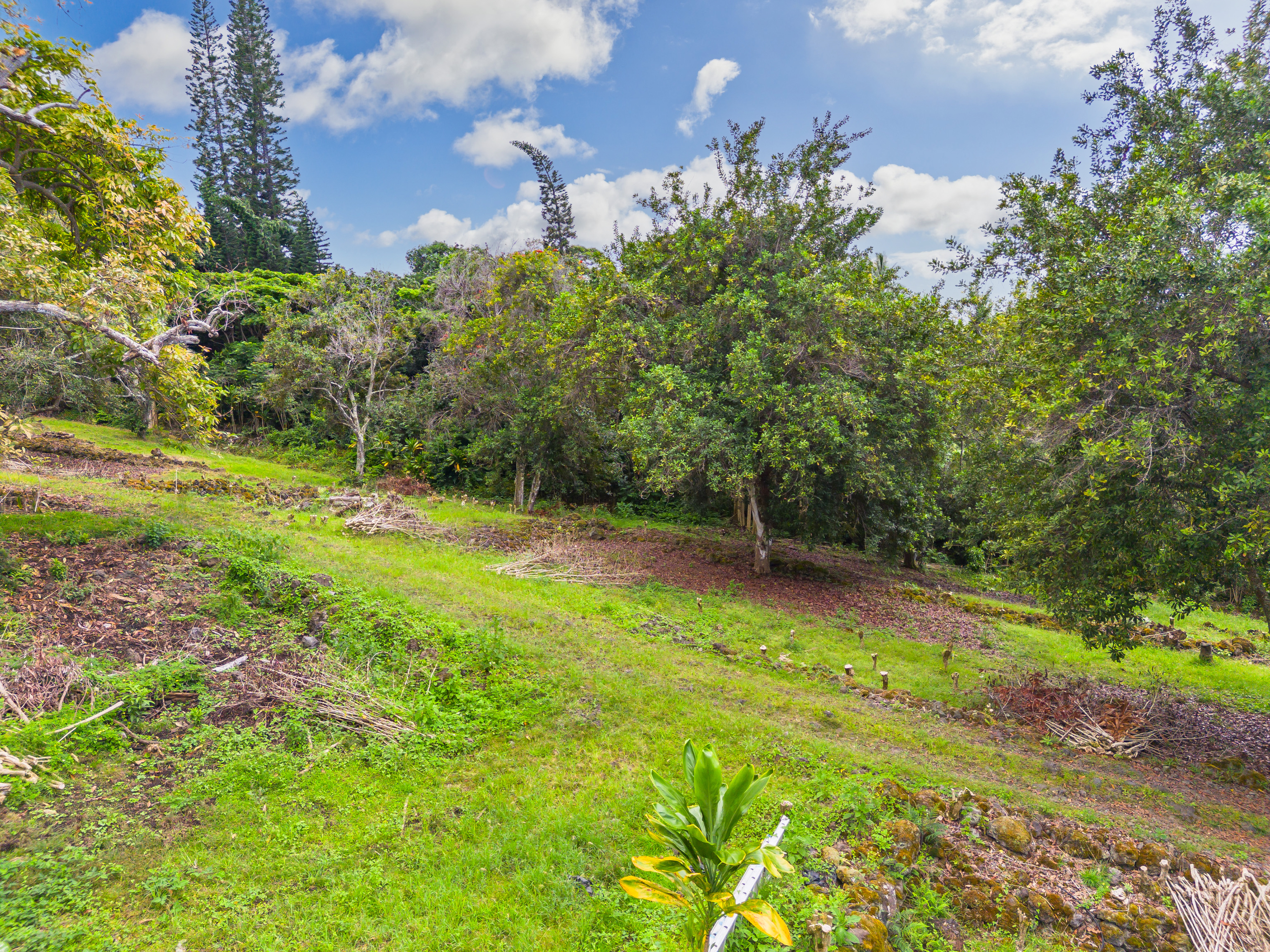84-5084 Hawaii Belt Rd Property Photo 25