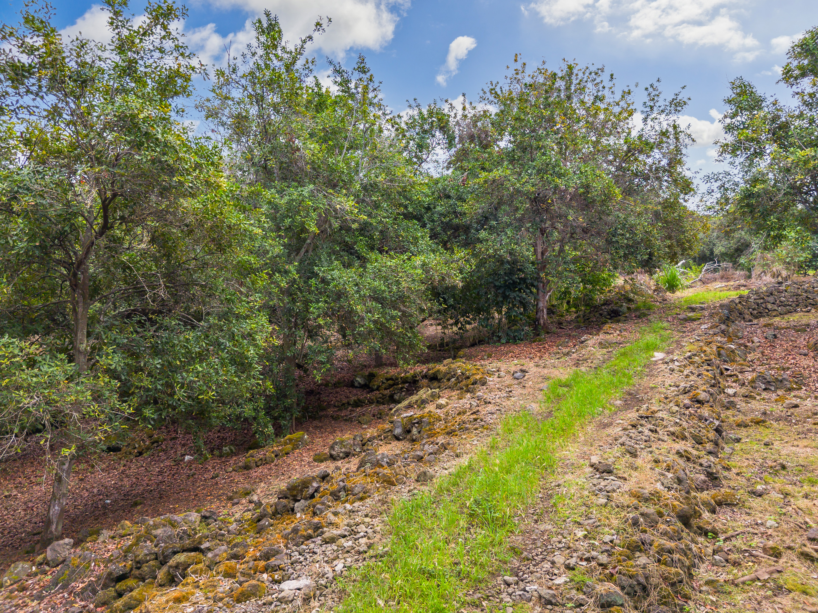 84-5084 Hawaii Belt Rd Property Photo 26