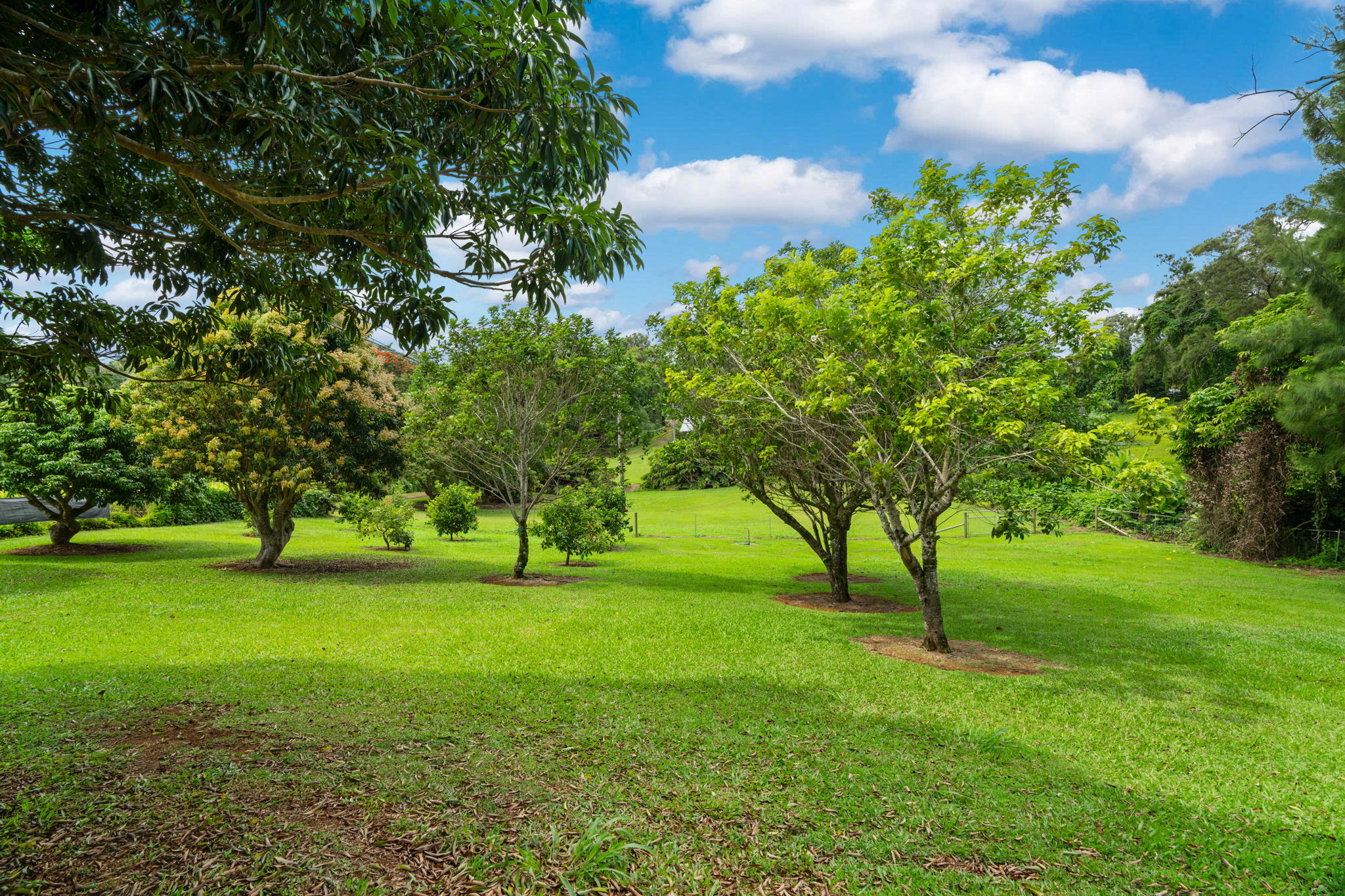 2020-a Kolo Rd Property Photo 25