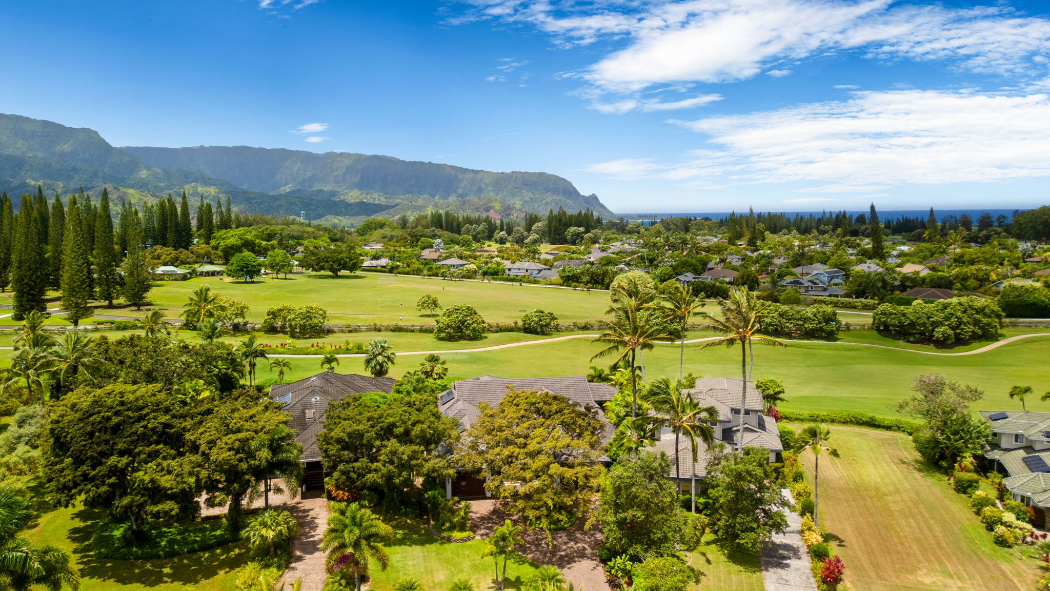 4134 Aloali ' I Dr Property Photo 3