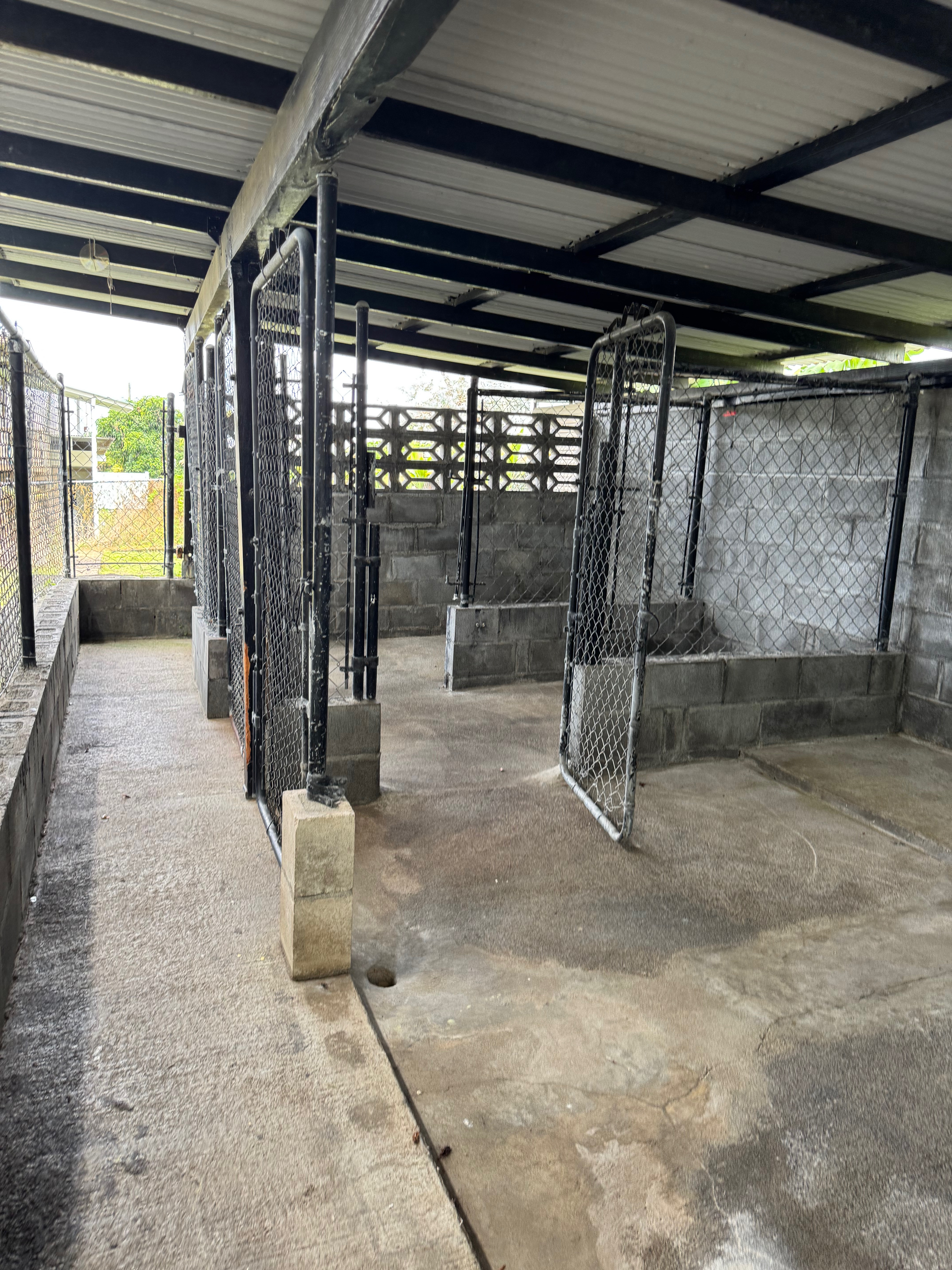 2133 Kinoole St Property Photo 19