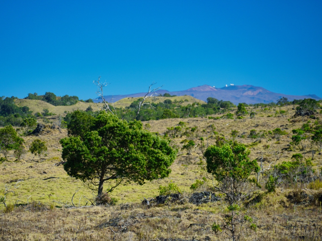 Hokukano Lot 15a Property Photo 16