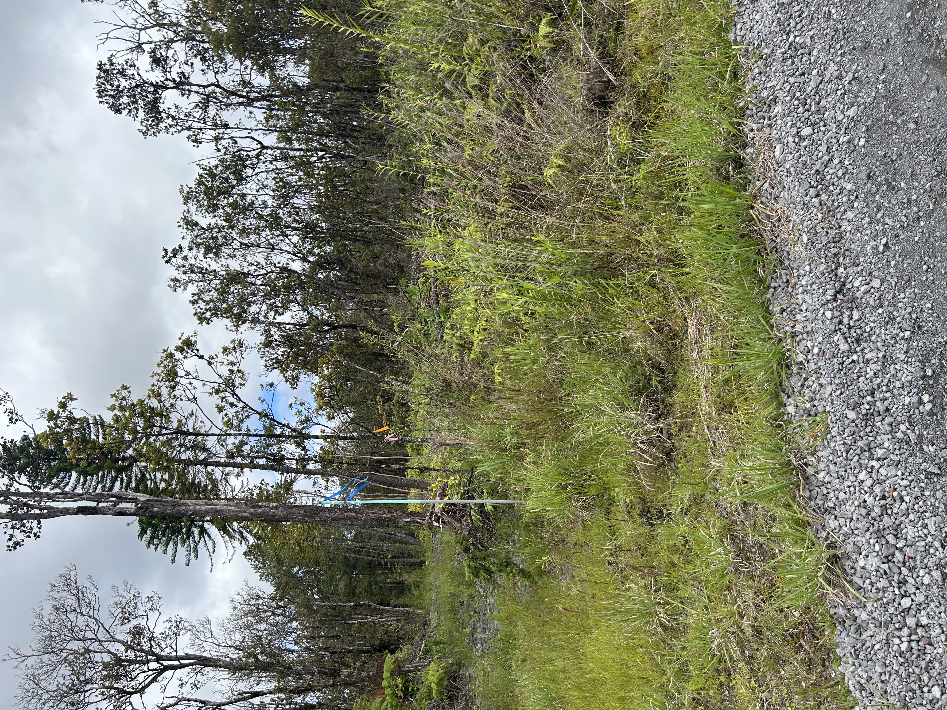 Noe Kuahiwi Rd Property Photo 1