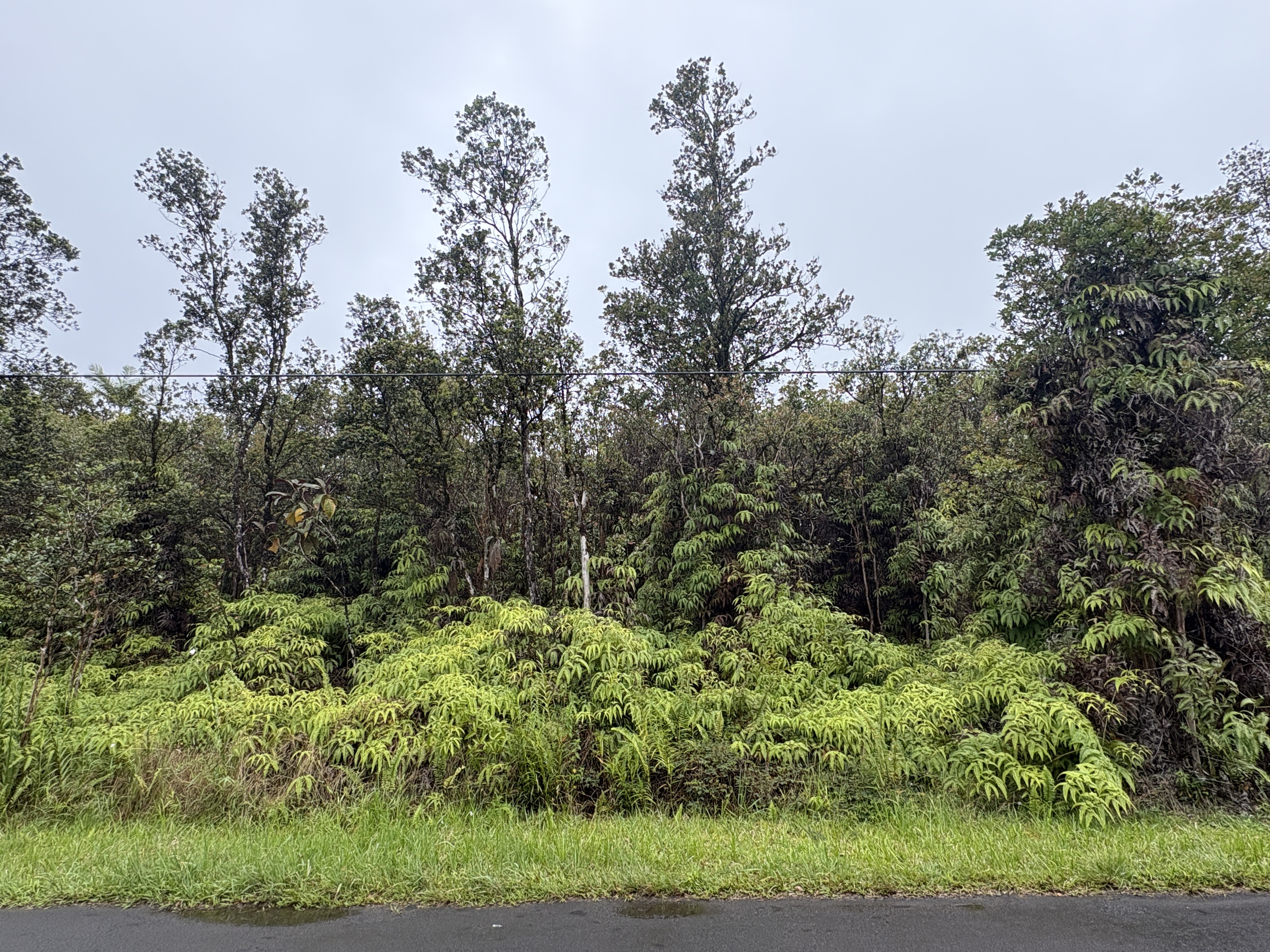 Ohia Ave Property Photo 1
