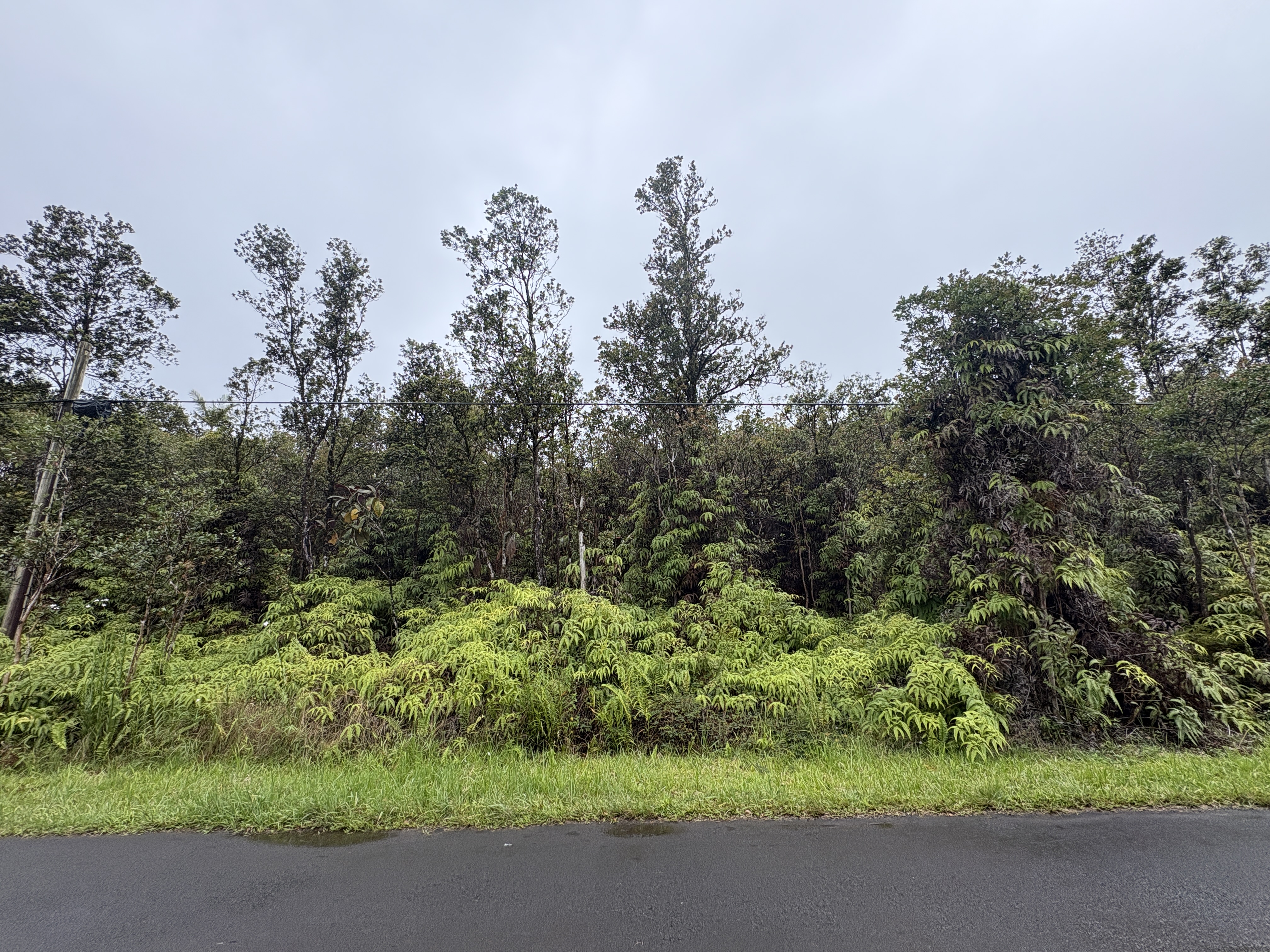 Ohia Ave Property Photo 5