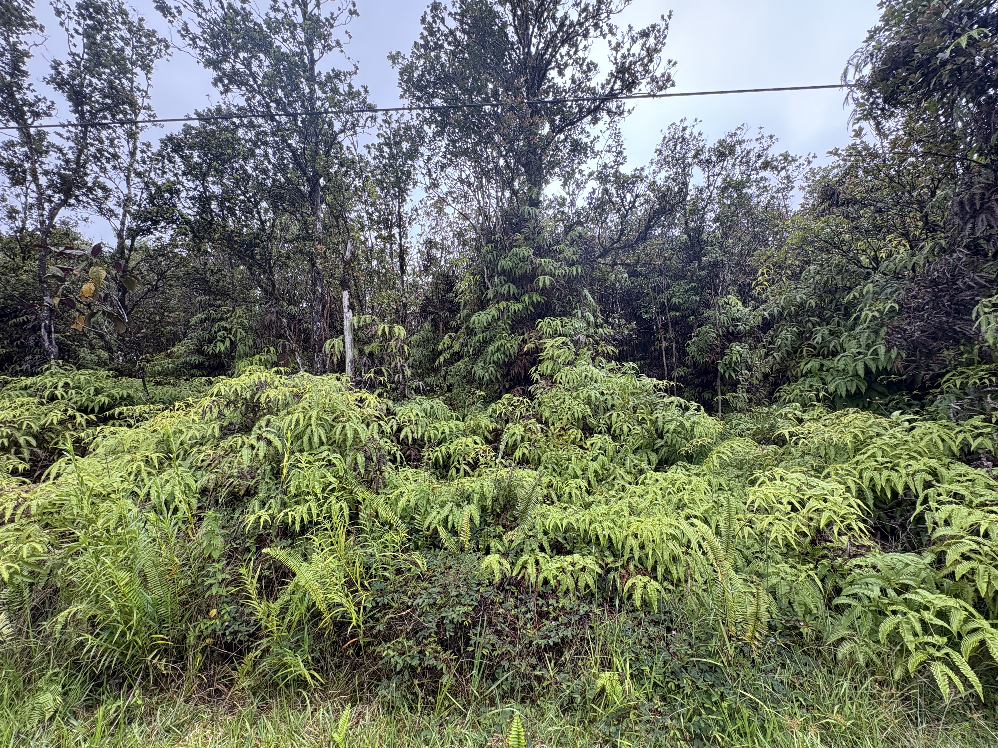 Ohia Ave Property Photo 6