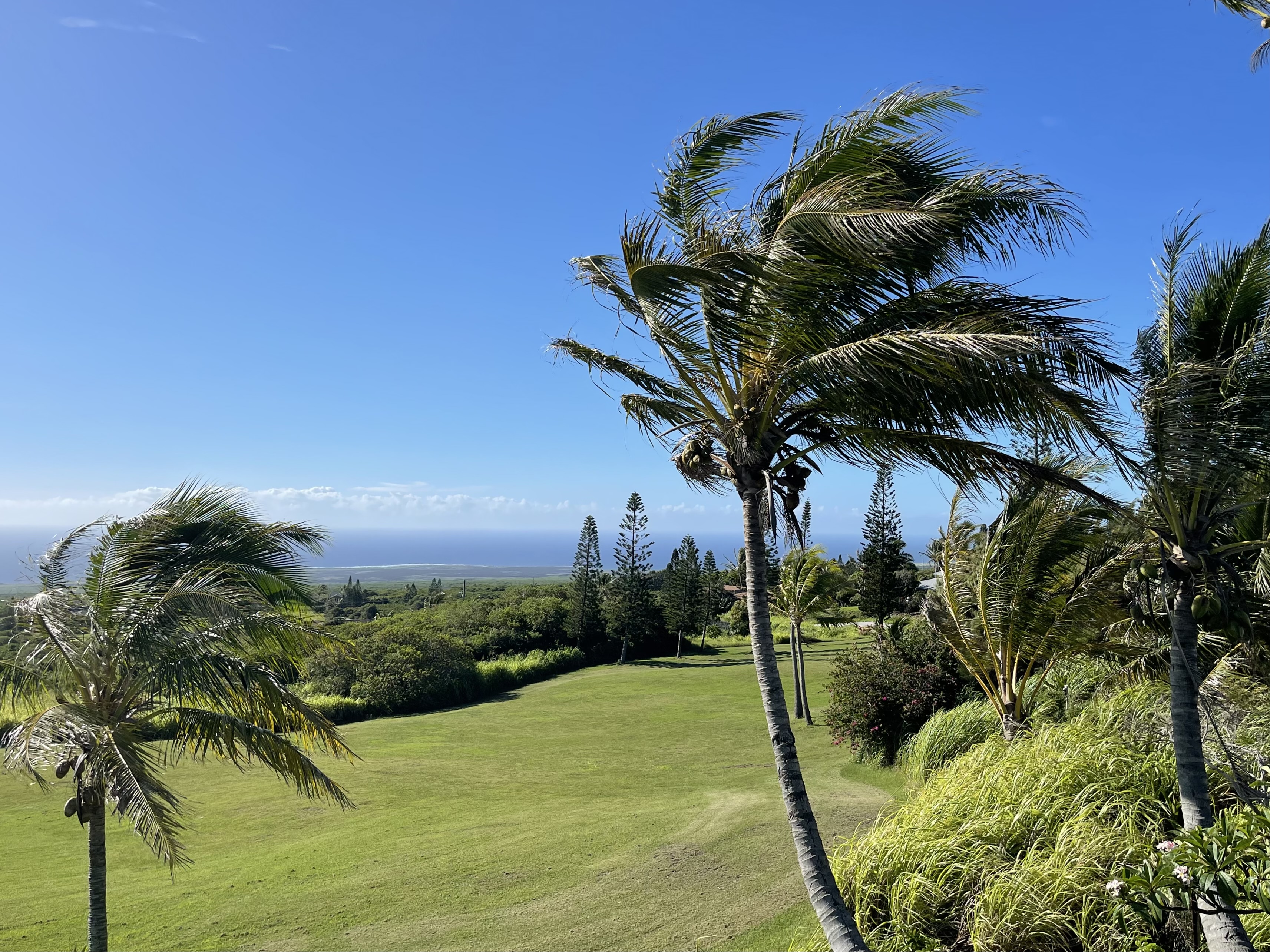 94-5824 Kilo Makani Pl Property Photo 30