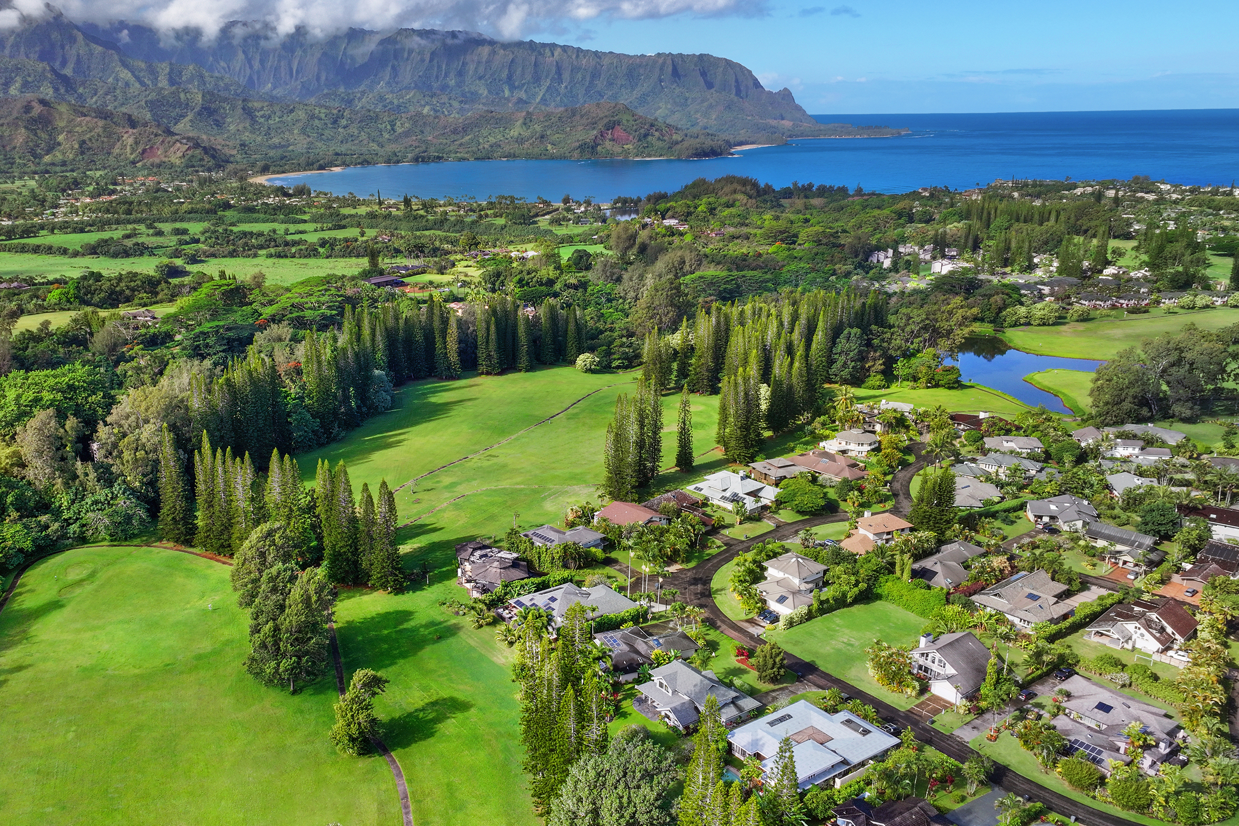4171 Kamalani Ln Property Photo 2
