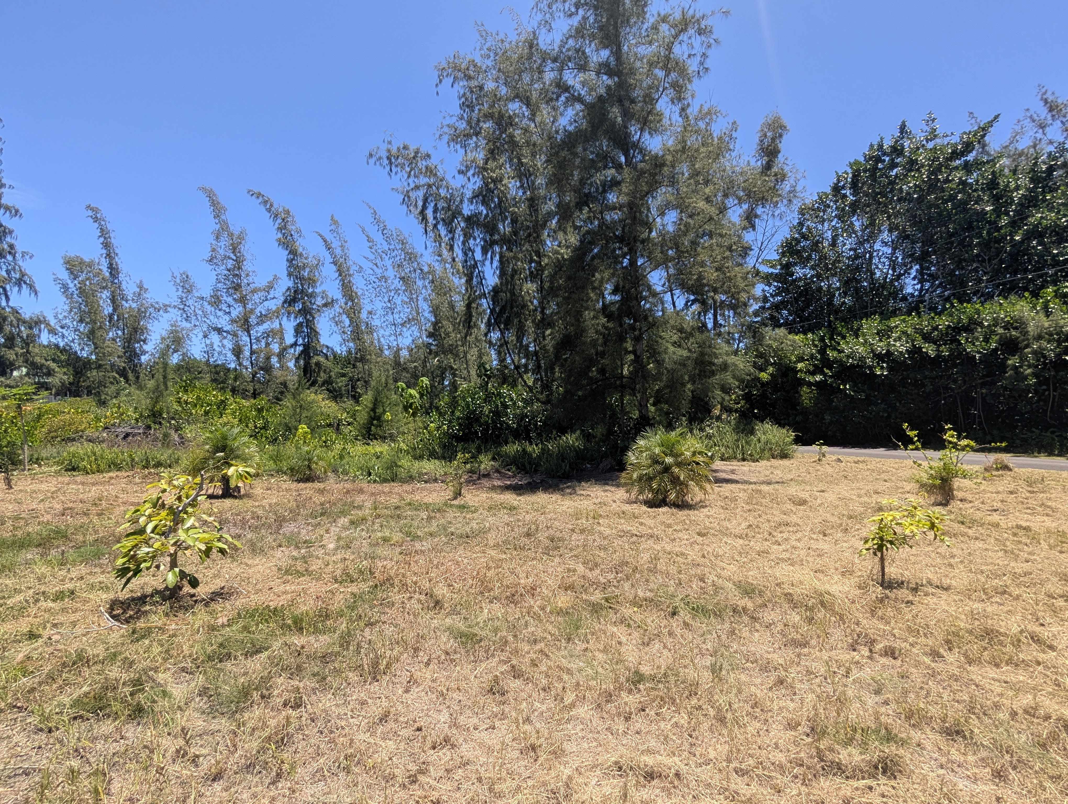 15-916 Paradise Ala Kai Dr Property Photo 11