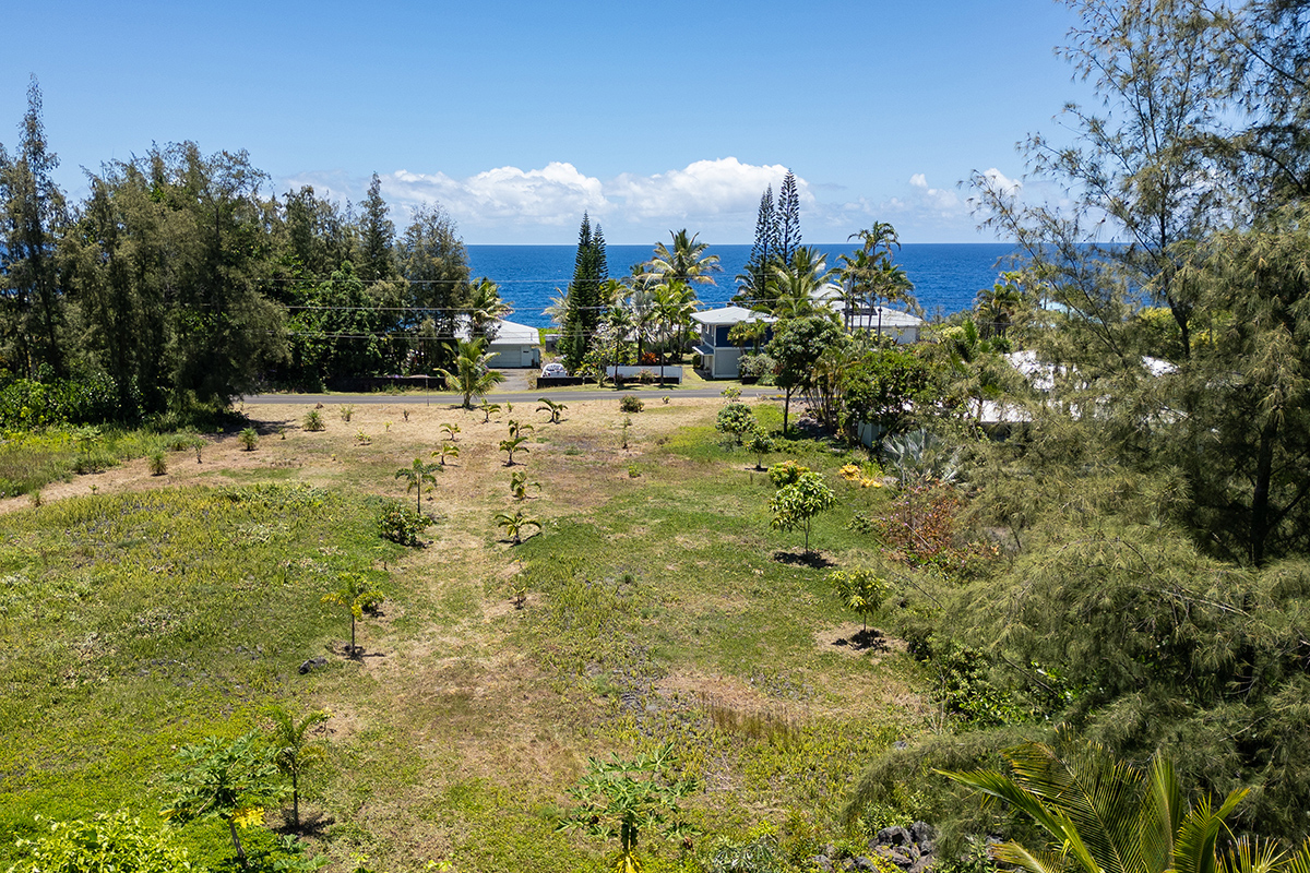 15-920 Paradise Ala Kai Dr Property Photo 1