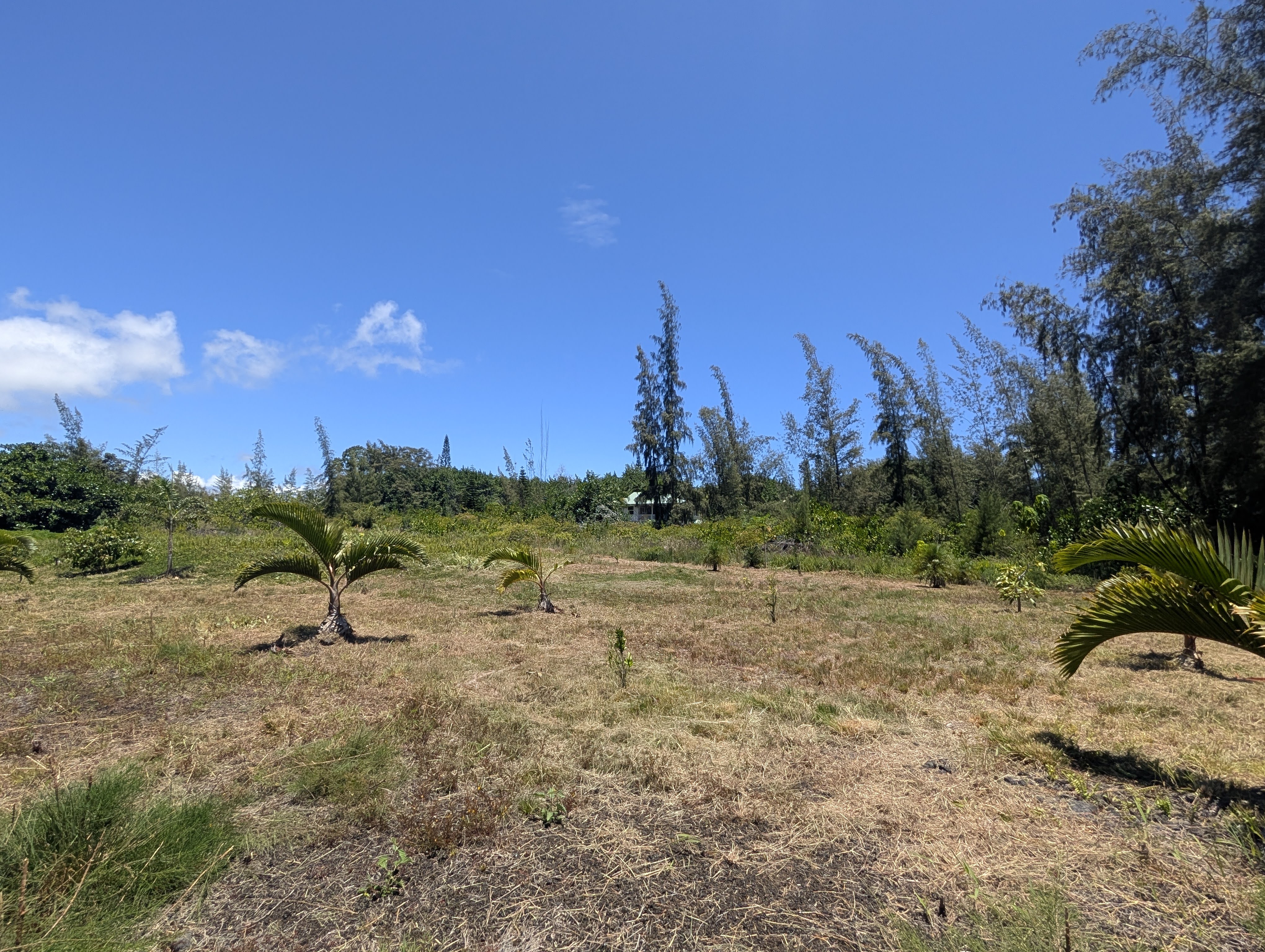 15-920 Paradise Ala Kai Dr Property Photo 3