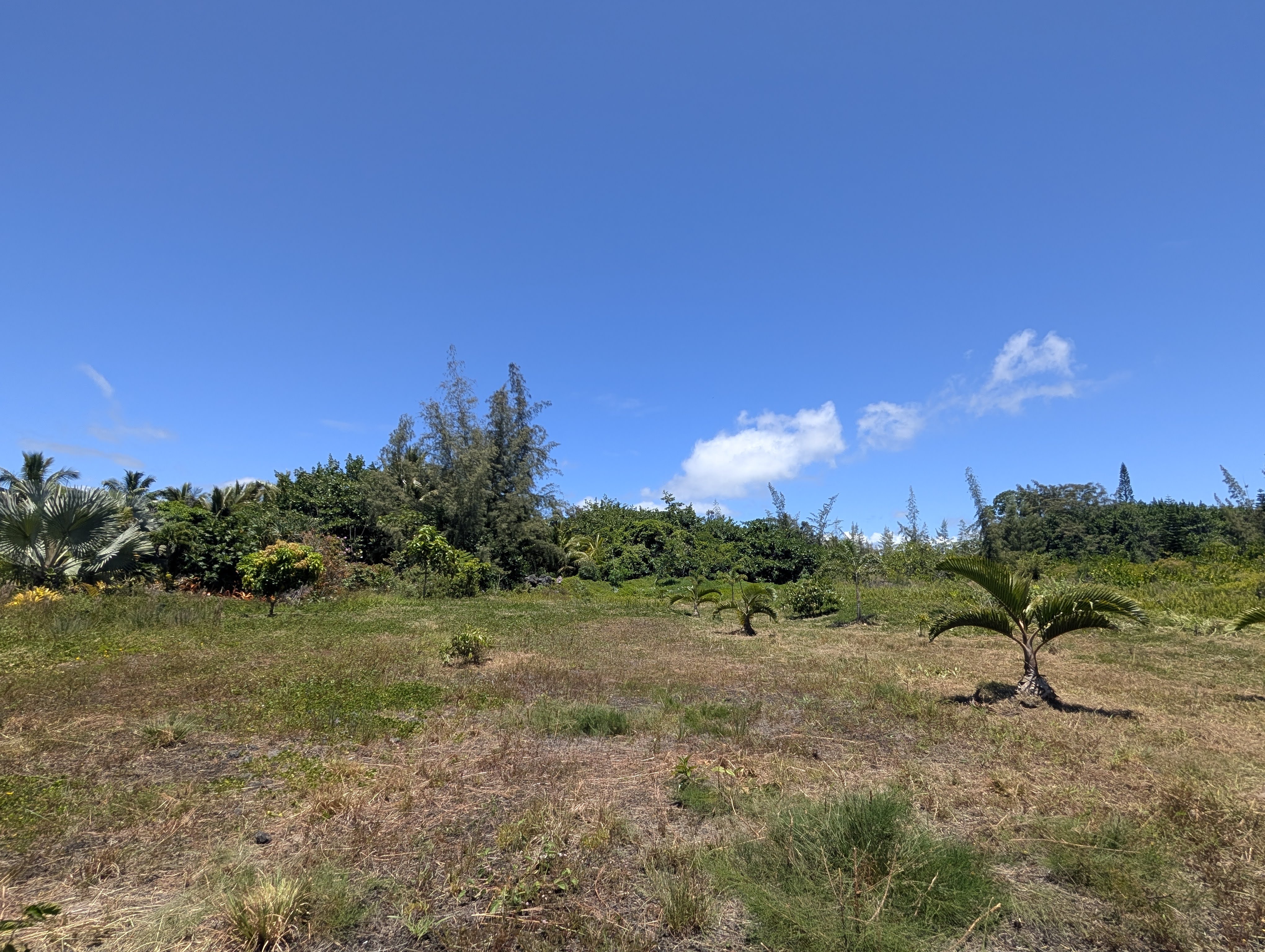 15-920 Paradise Ala Kai Dr Property Photo 4