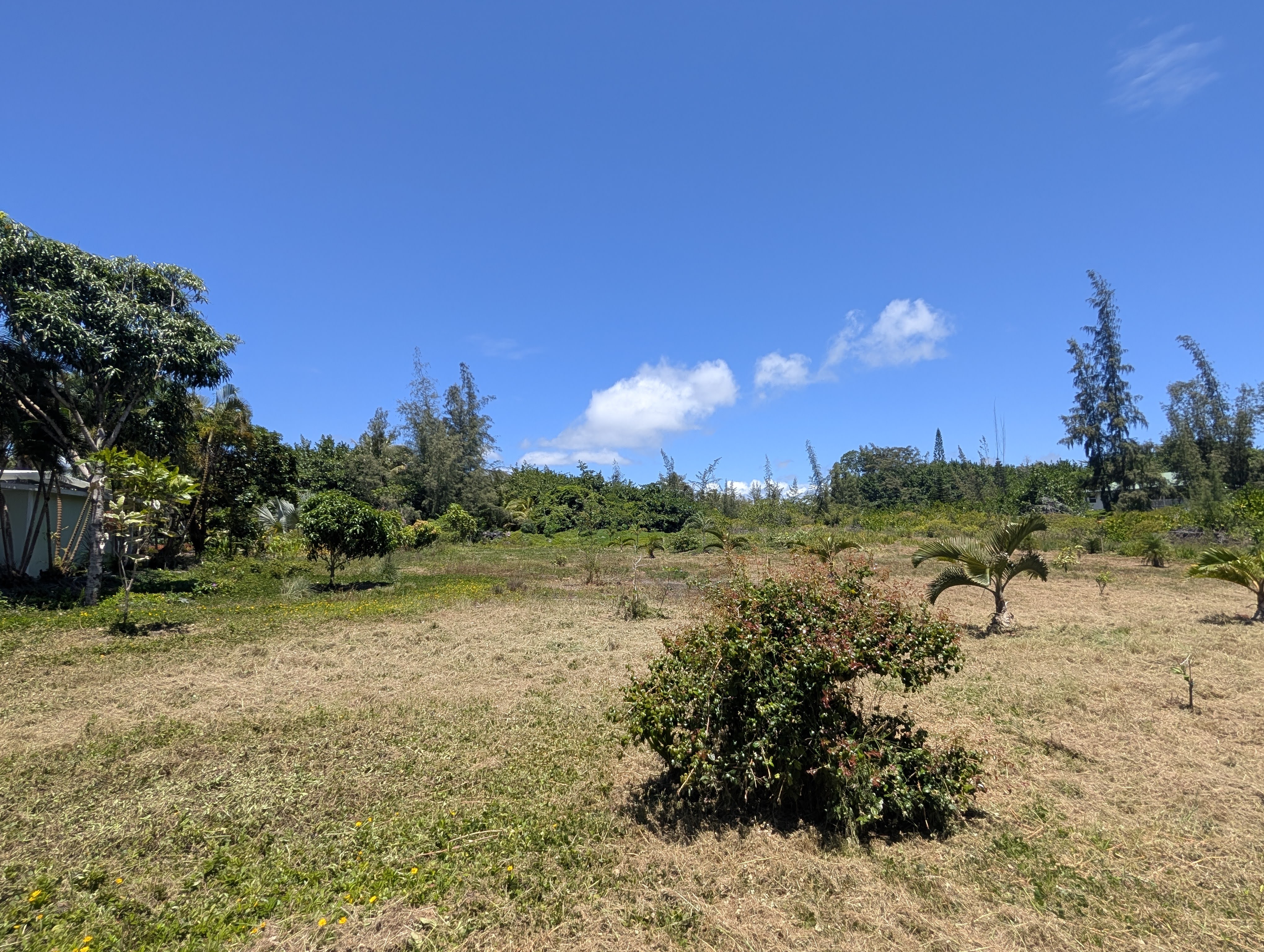 15-920 Paradise Ala Kai Dr Property Photo 13