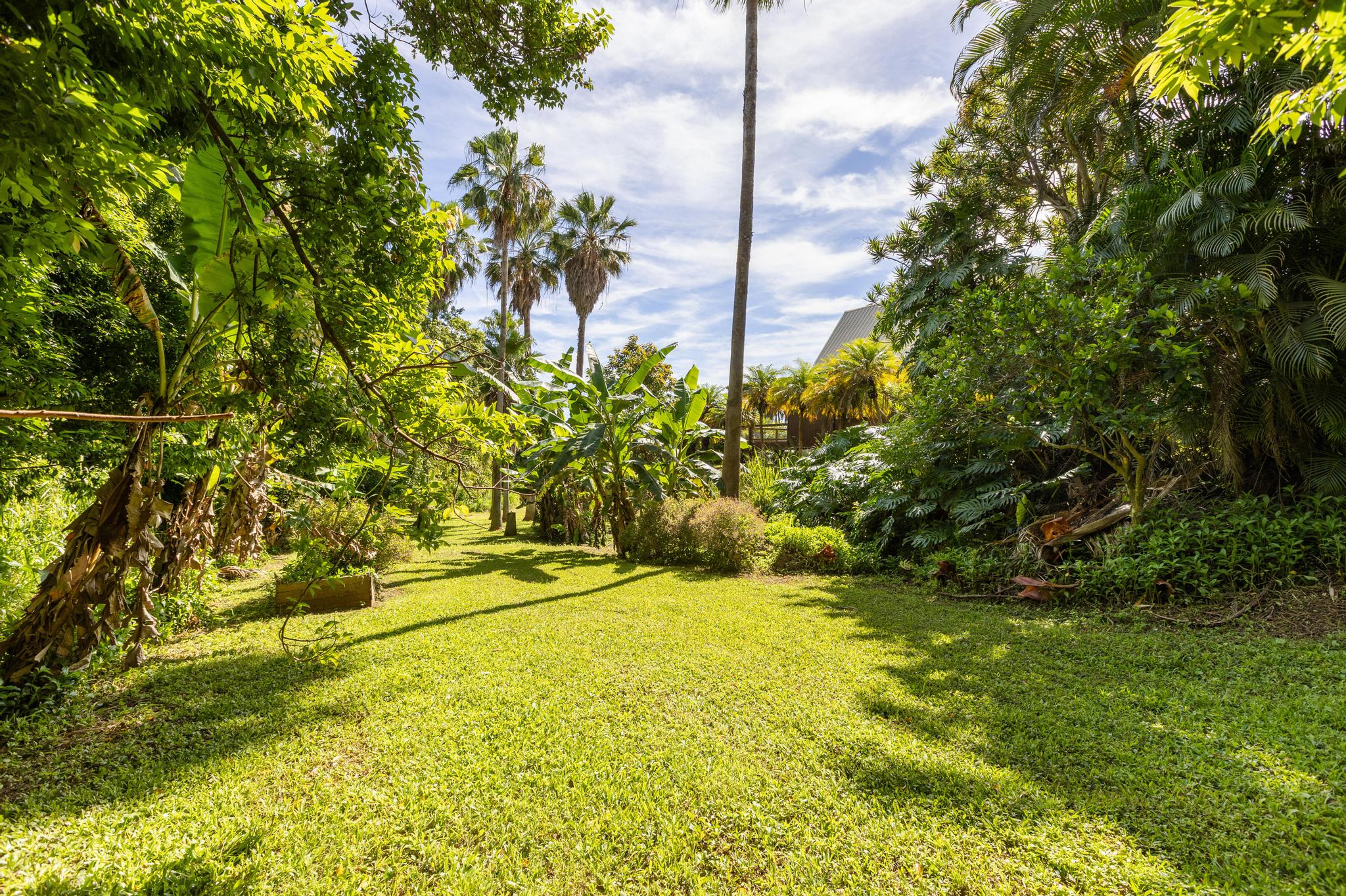 46-3916 Honokaa Waipio Rd Property Photo 28