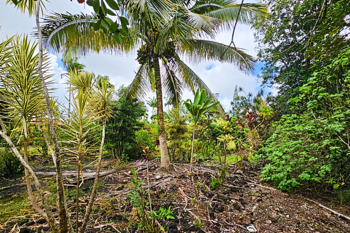 15-2764 Aku St Property Photo 22