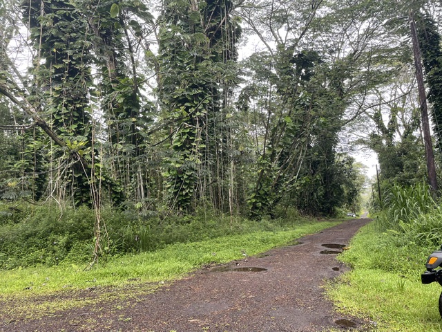 Plumeria Rd Lots 107 & 108 Property Photo 3
