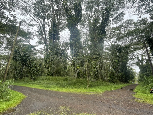 Plumeria Rd Lots 107 & 108 Property Photo 5