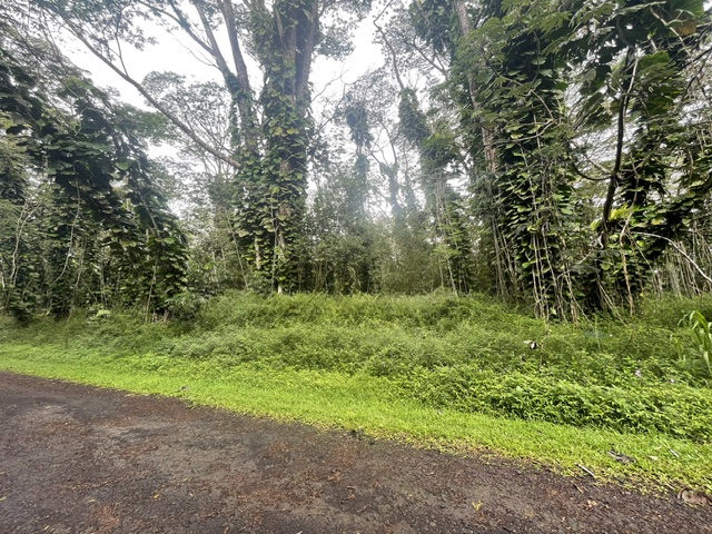 Plumeria Rd Lots 107 & 108 Property Photo 6