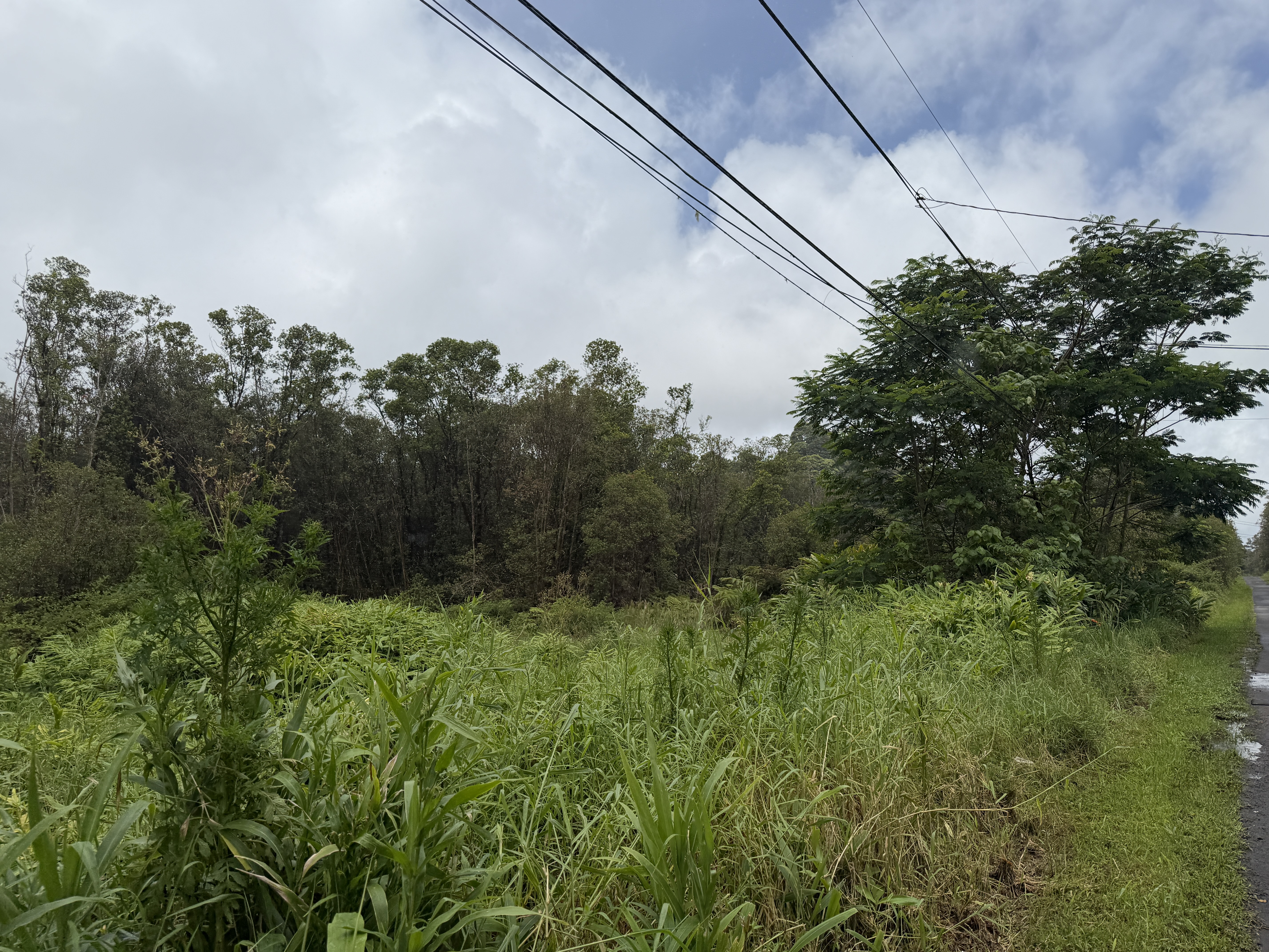 Road 1 Property Photo 1