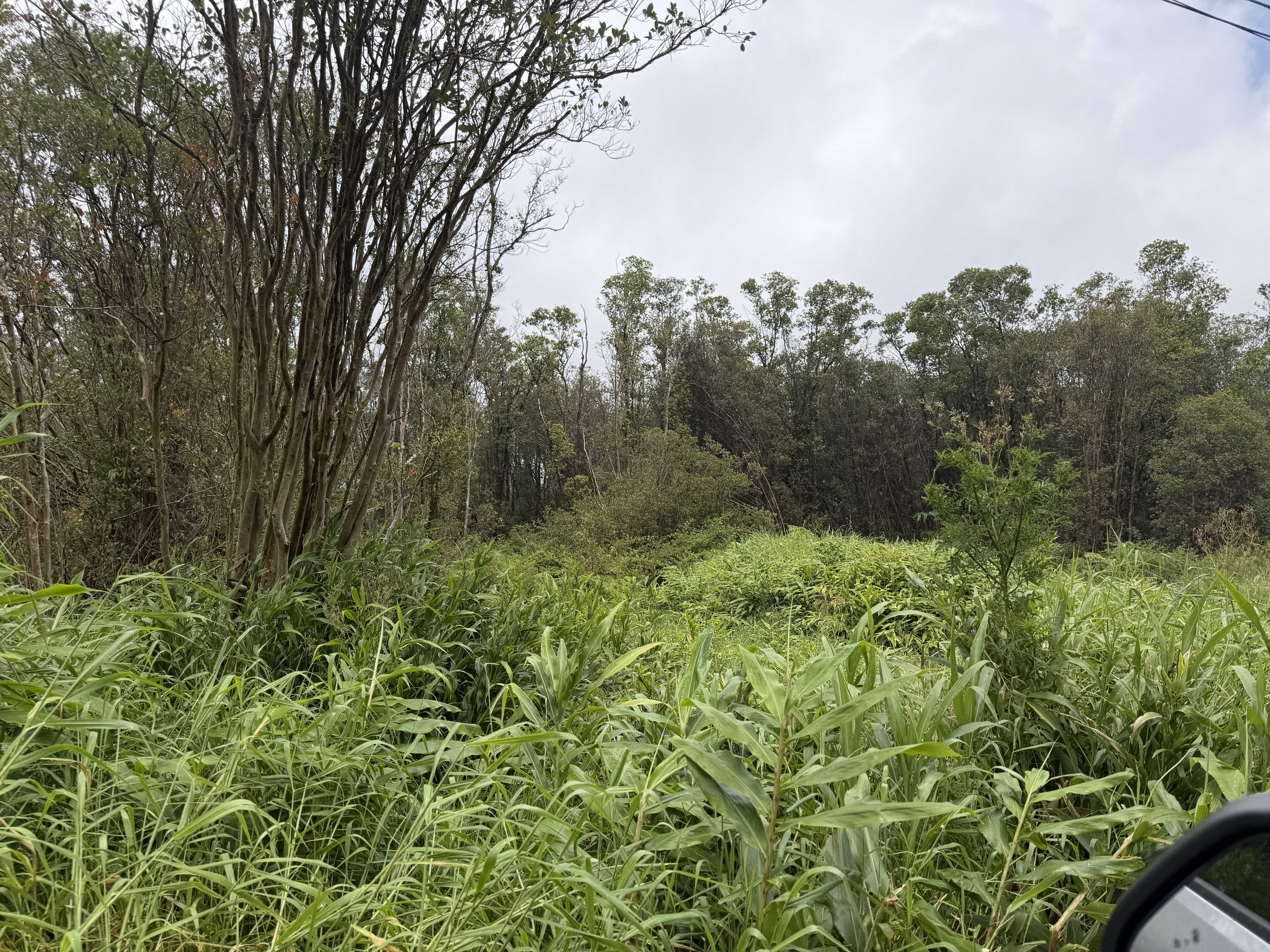 Road 1 Property Photo 3