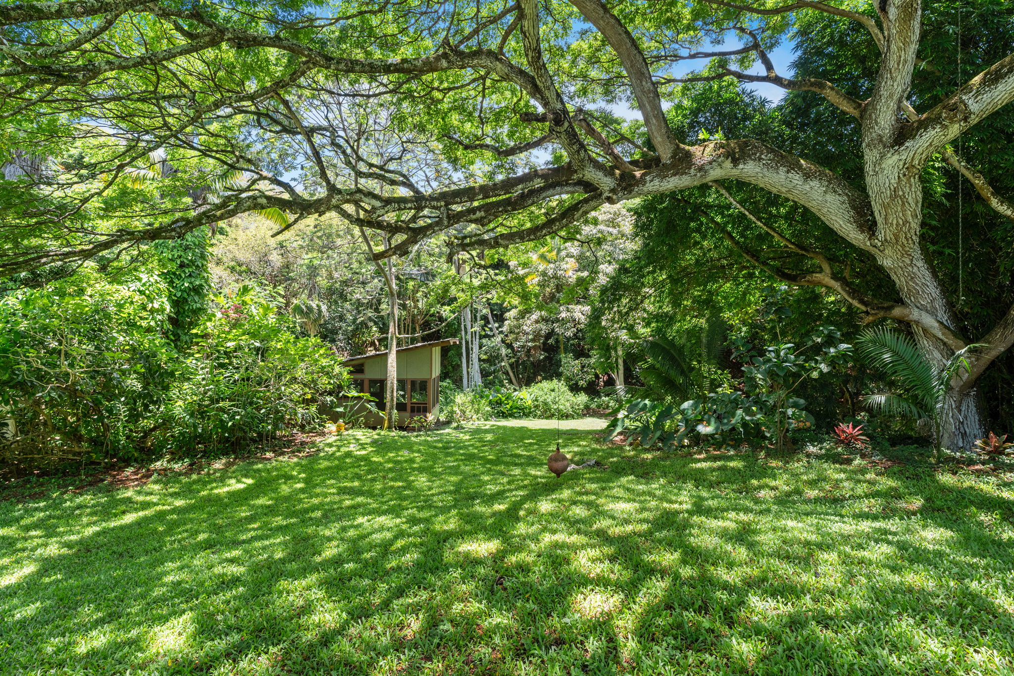 6770 Koolau Rd 1 Property Photo 13