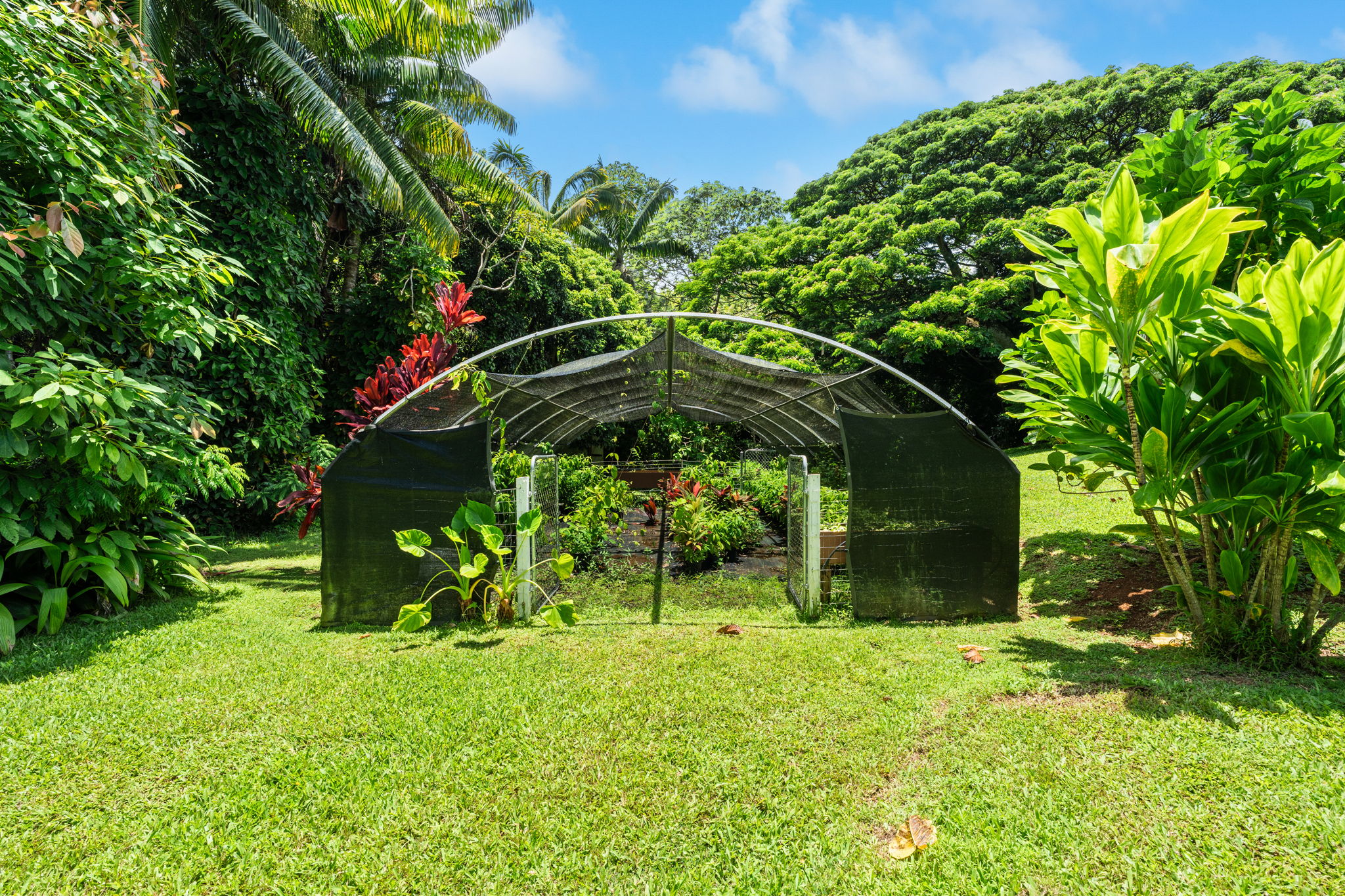 6770 Koolau Rd 1 Property Photo 15