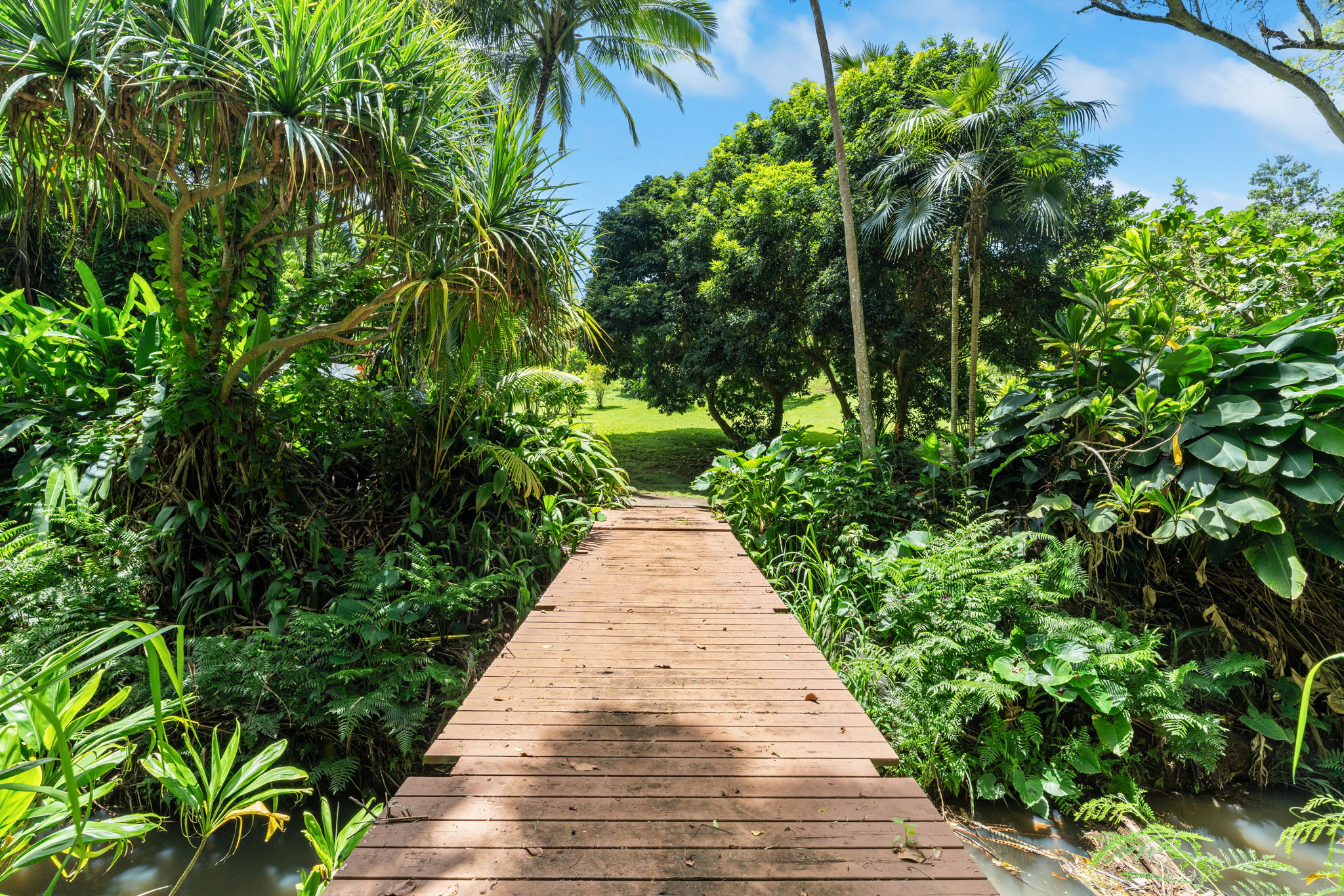 6770 Koolau Rd 1 Property Photo 16
