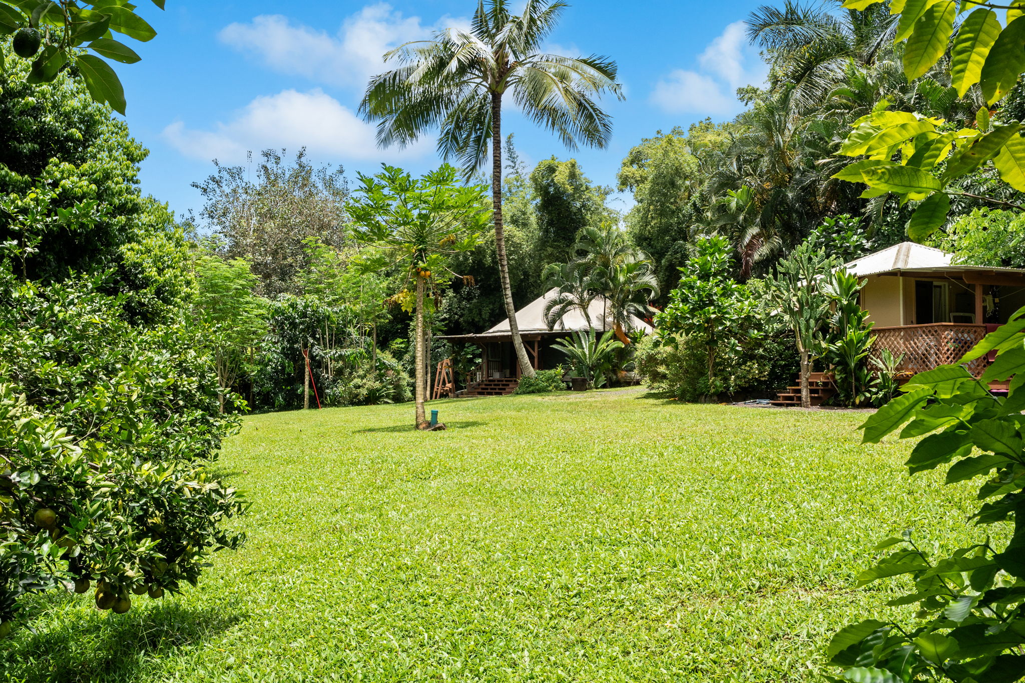 6770 Koolau Rd 1 Property Photo 17