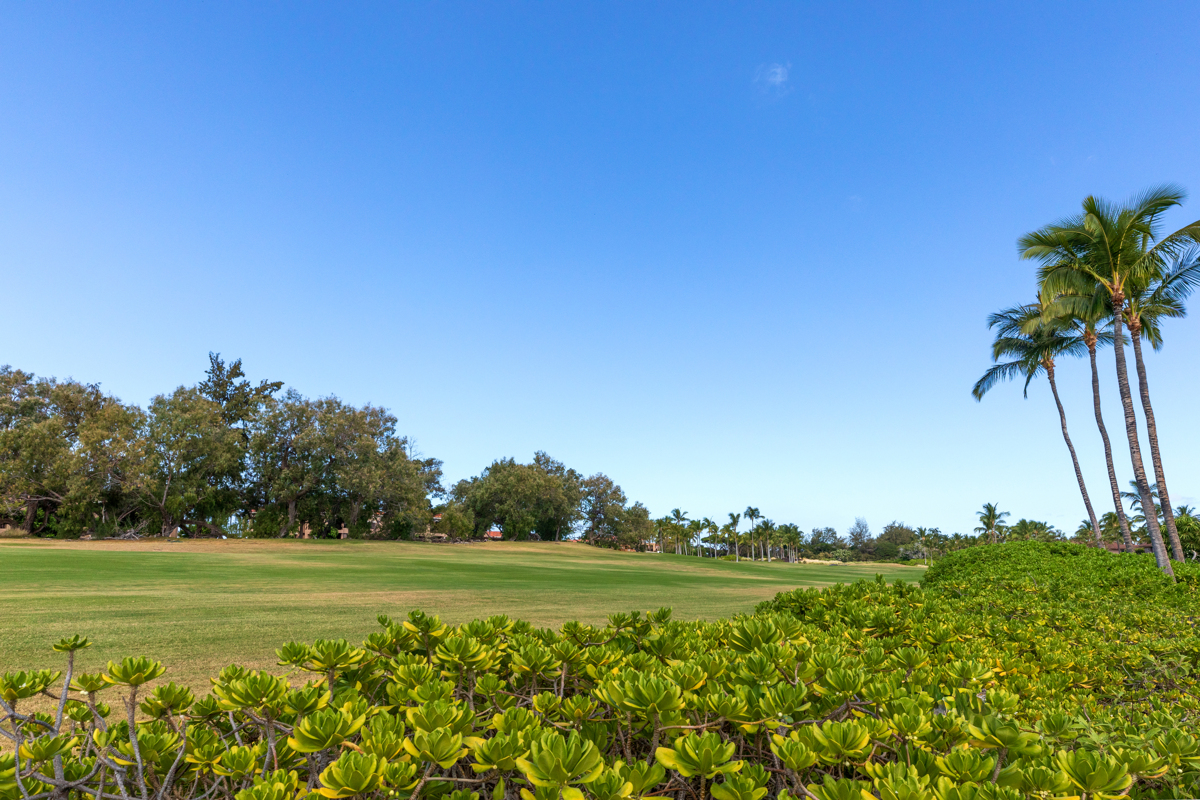 69-555 Waikoloa Beach Dr 1005 Property Photo 7