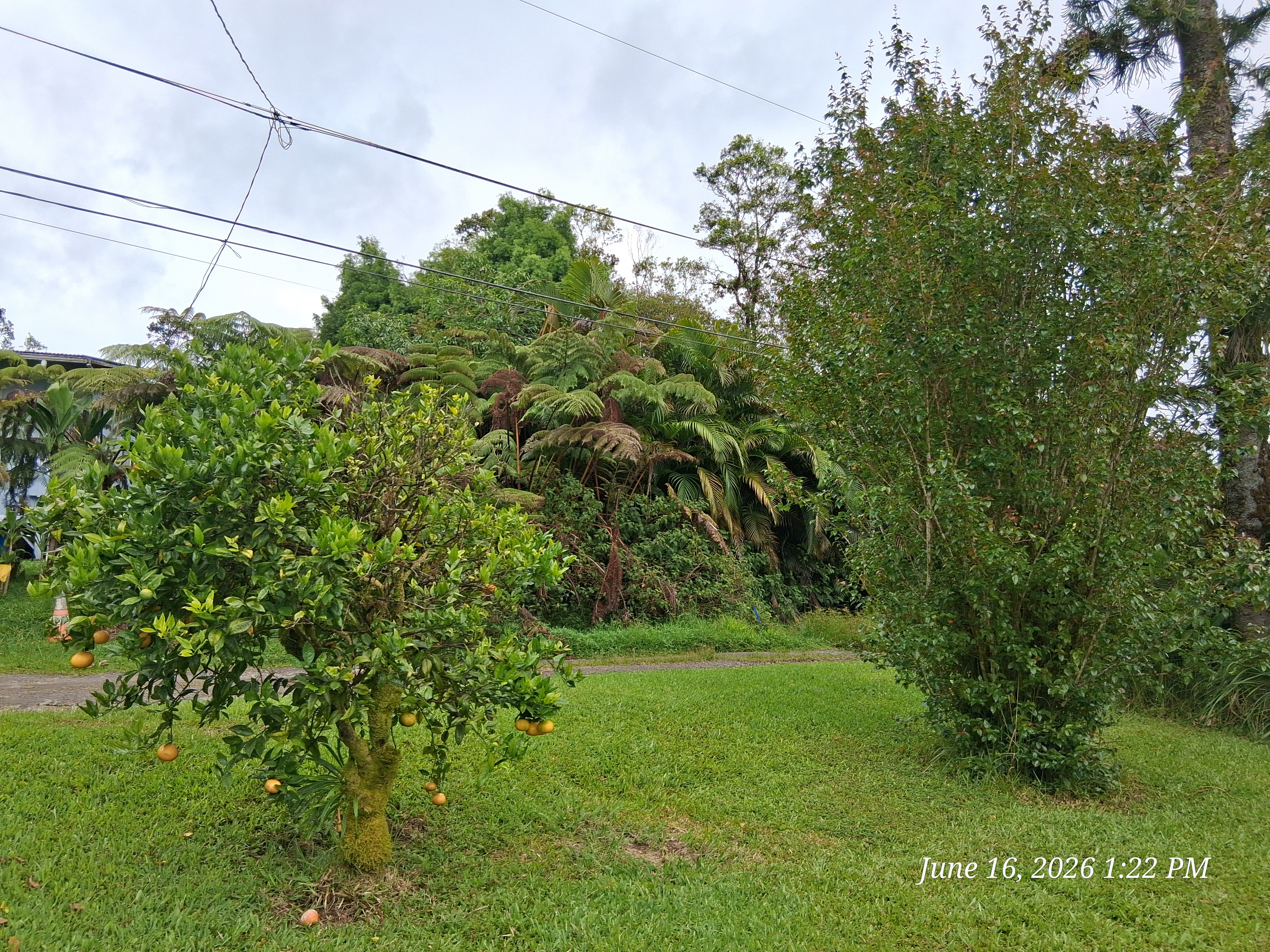 18-4050 Kanahele Pl Property Photo 16
