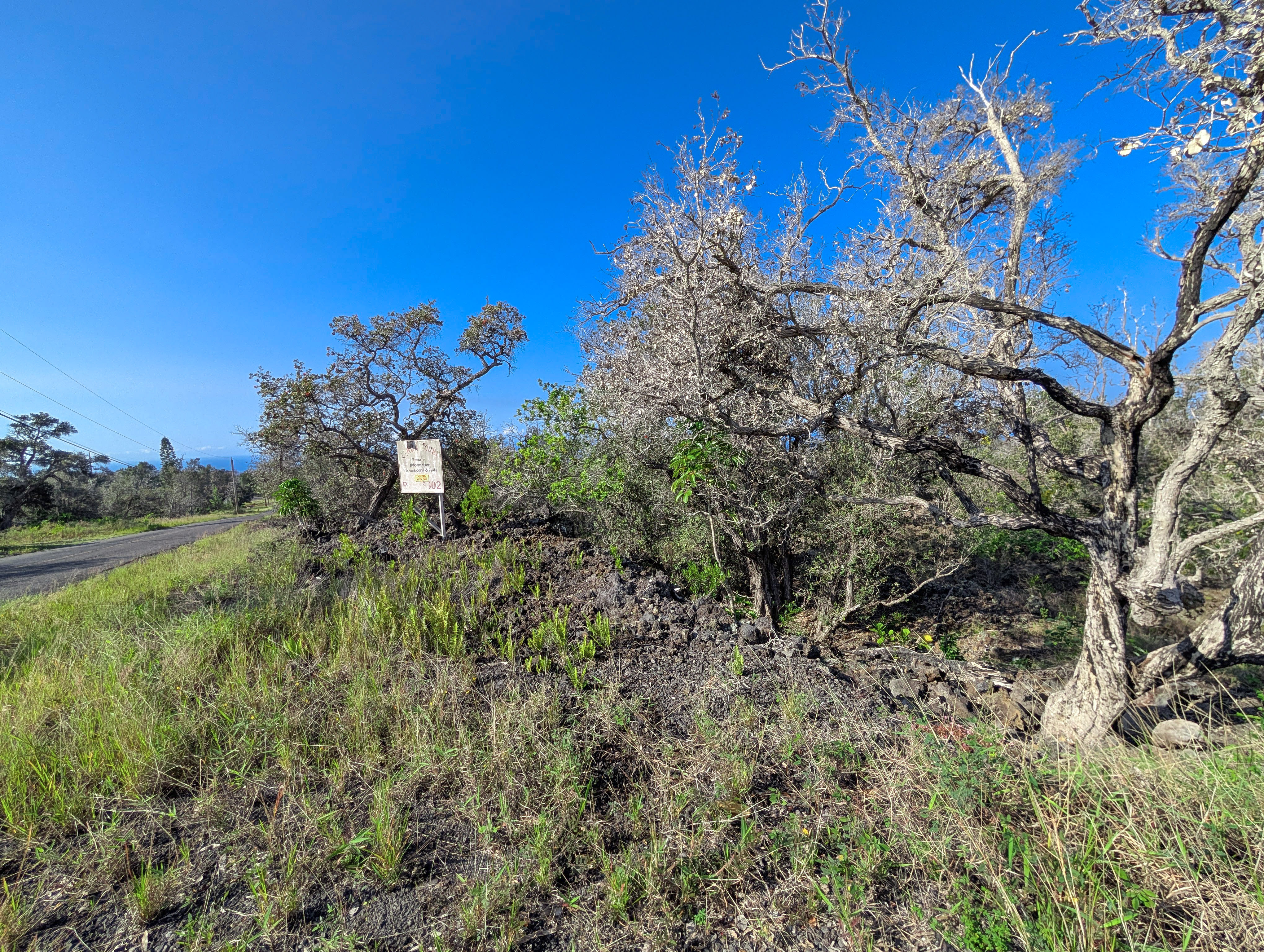92-8635 Lehua Ln Property Photo 7